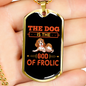 God of Frolic Orange Necklace Stainless Steel or 18k Gold Dog Tag 24" Chain-Express Your Love Gifts