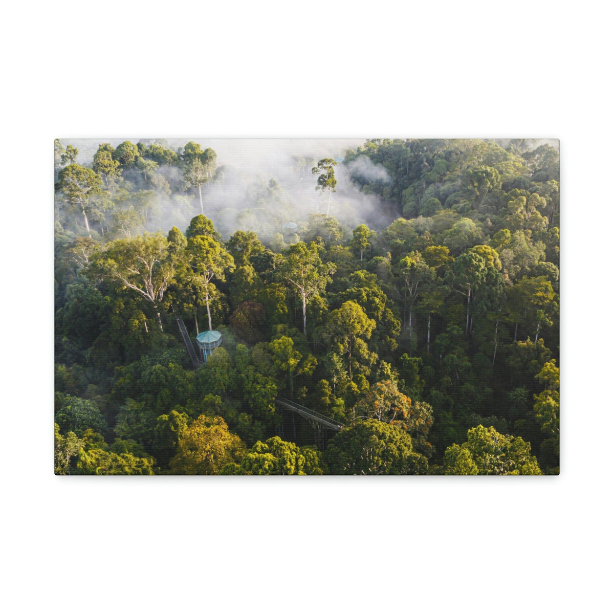 Gorgeous Misty Rainforest Scene Beautiful Enthralling and Captivating Beauty Nature Scene Aerial View of Rainforest Wall Art Ready to Hang Unframed-Express Your Love Gifts