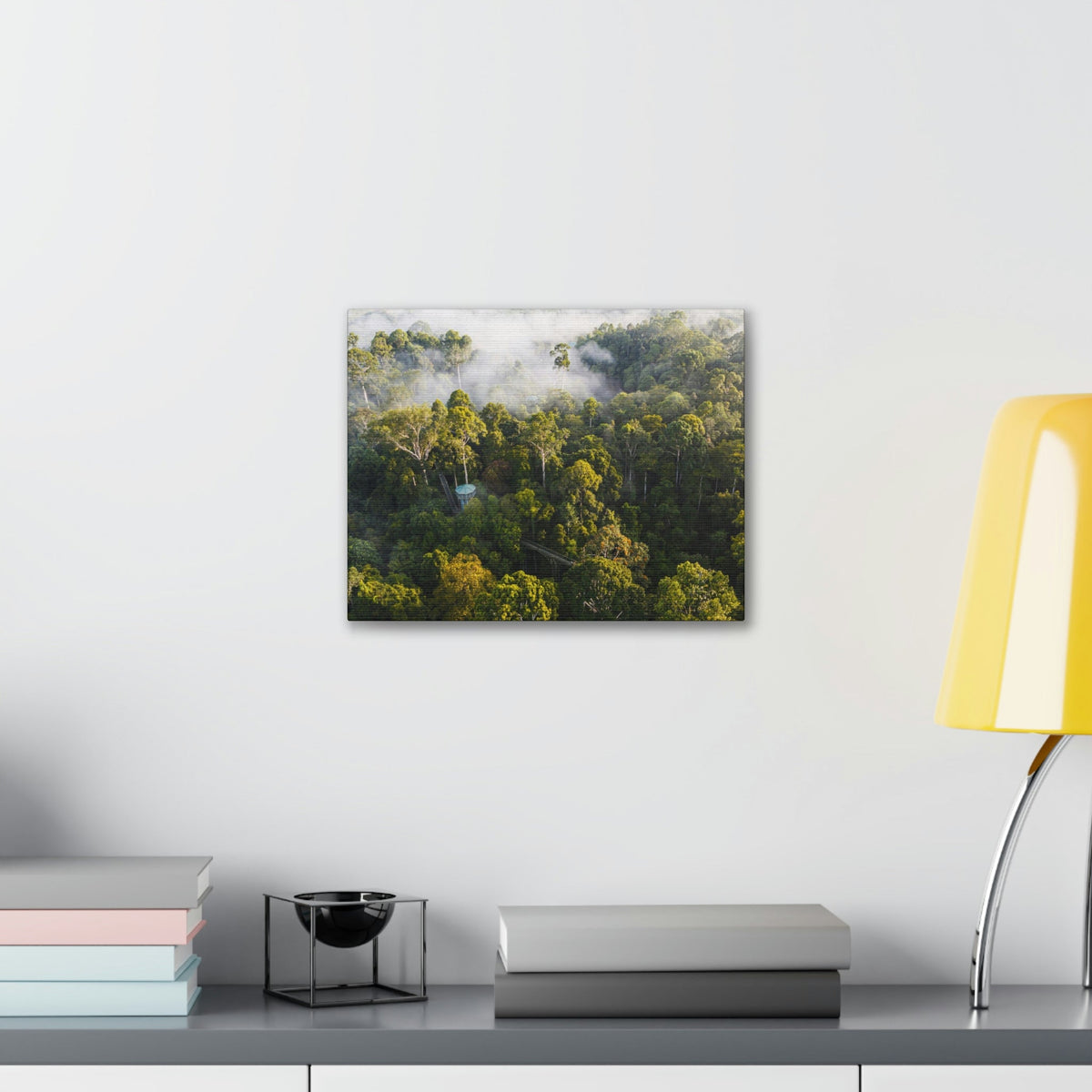 Gorgeous Misty Rainforest Scene Beautiful Enthralling and Captivating Beauty Nature Scene Aerial View of Rainforest Wall Art Ready to Hang Unframed-Express Your Love Gifts