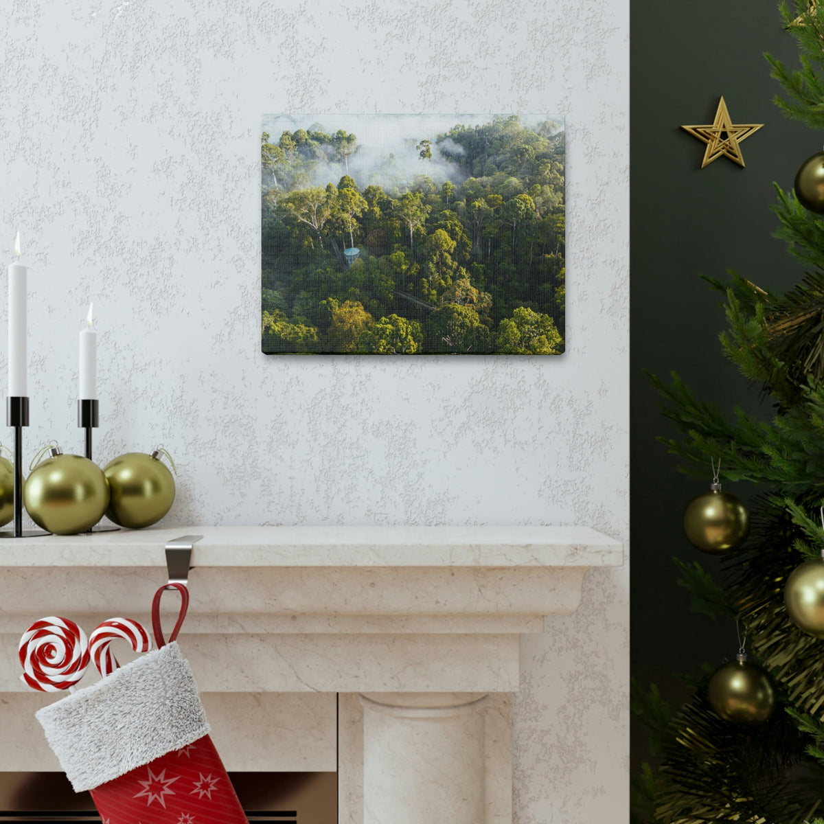 Gorgeous Misty Rainforest Scene Beautiful Enthralling and Captivating Beauty Nature Scene Aerial View of Rainforest Wall Art Ready to Hang Unframed-Express Your Love Gifts