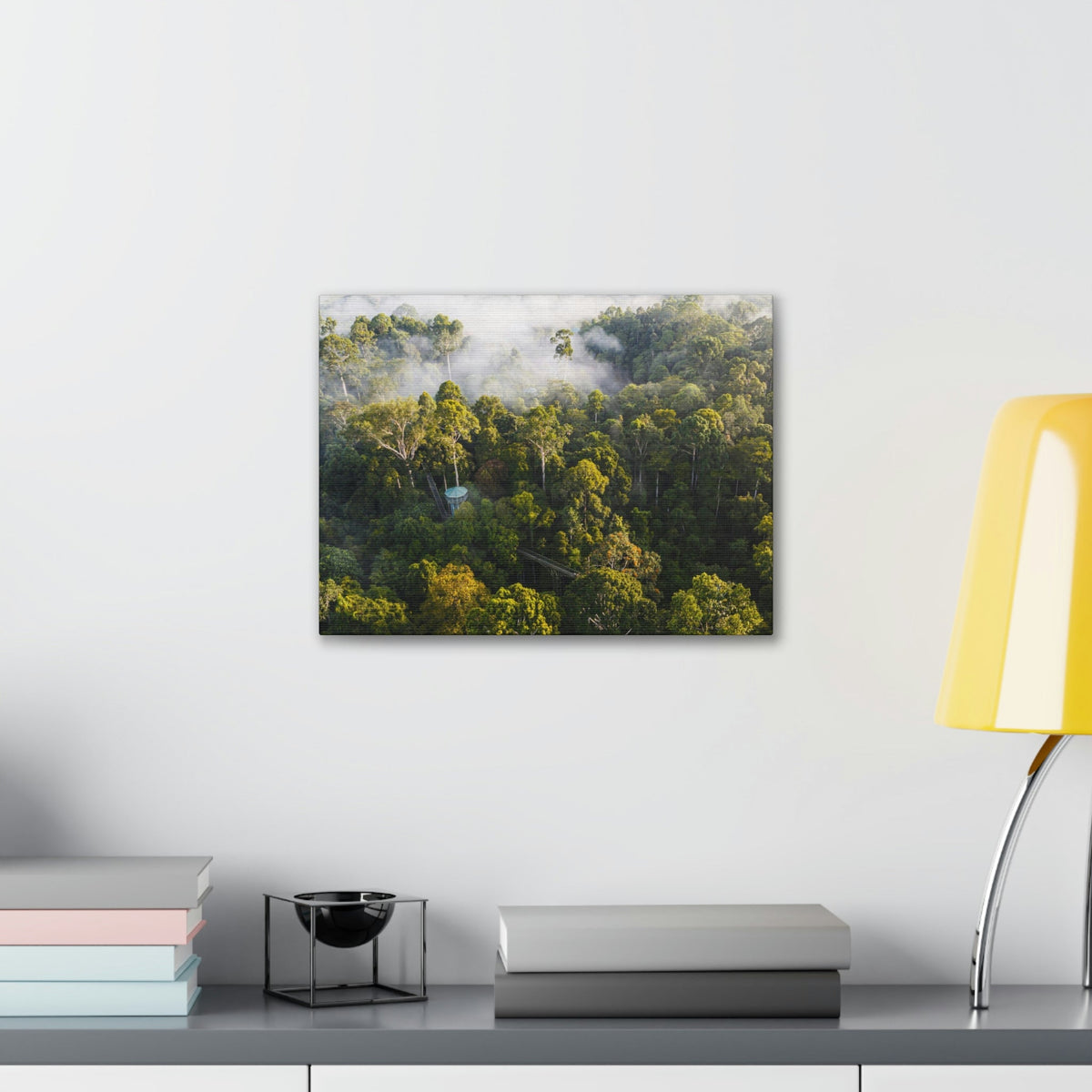 Gorgeous Misty Rainforest Scene Beautiful Enthralling and Captivating Beauty Nature Scene Aerial View of Rainforest Wall Art Ready to Hang Unframed-Express Your Love Gifts