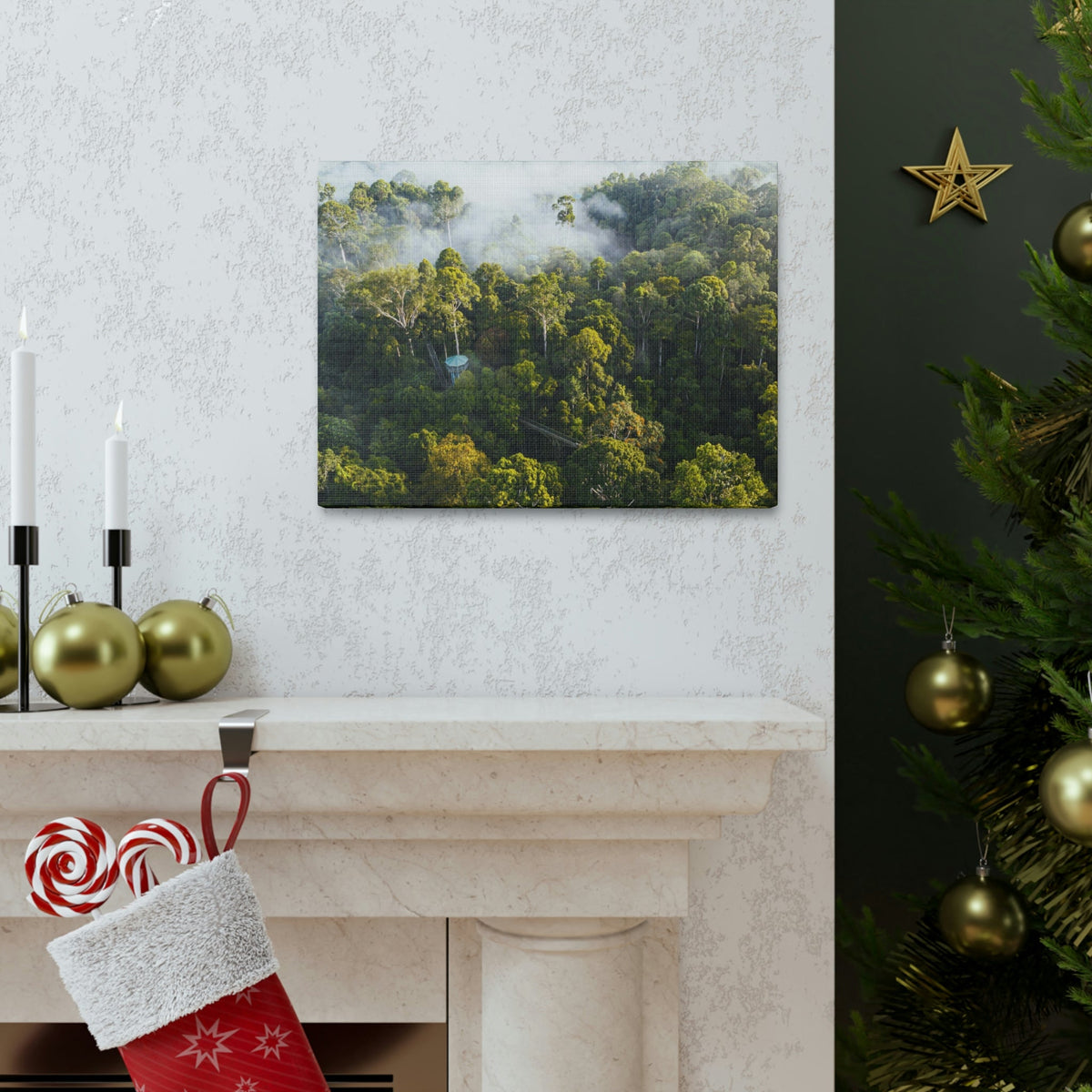 Gorgeous Misty Rainforest Scene Beautiful Enthralling and Captivating Beauty Nature Scene Aerial View of Rainforest Wall Art Ready to Hang Unframed-Express Your Love Gifts