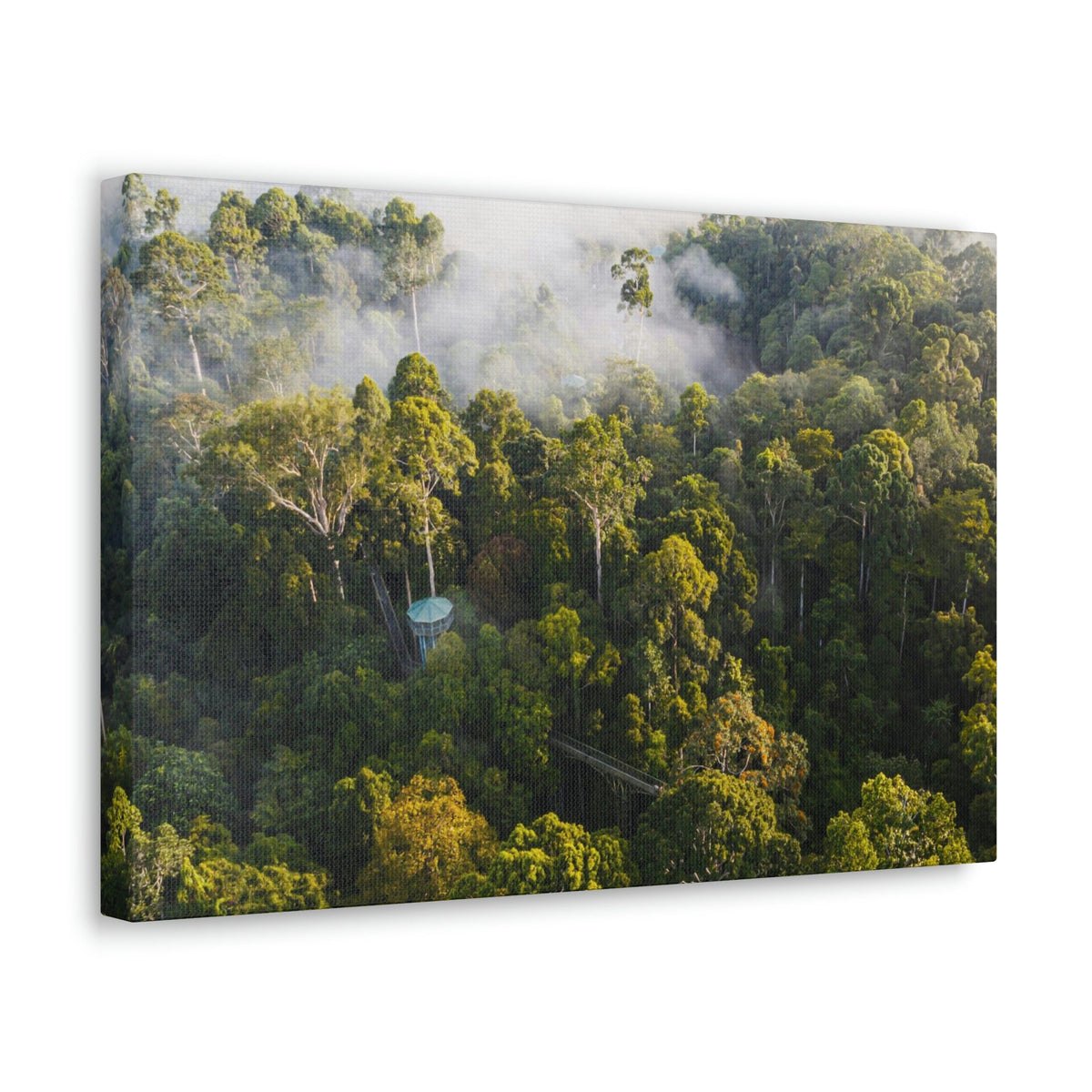 Gorgeous Misty Rainforest Scene Beautiful Enthralling and Captivating Beauty Nature Scene Aerial View of Rainforest Wall Art Ready to Hang Unframed-Express Your Love Gifts