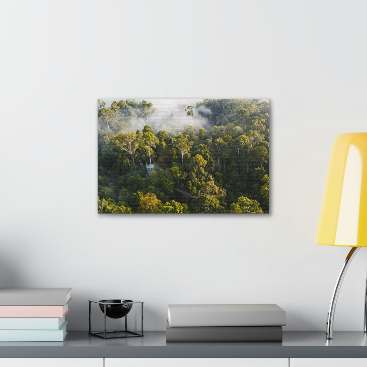 Gorgeous Misty Rainforest Scene Beautiful Enthralling and Captivating Beauty Nature Scene Aerial View of Rainforest Wall Art Ready to Hang Unframed-Express Your Love Gifts