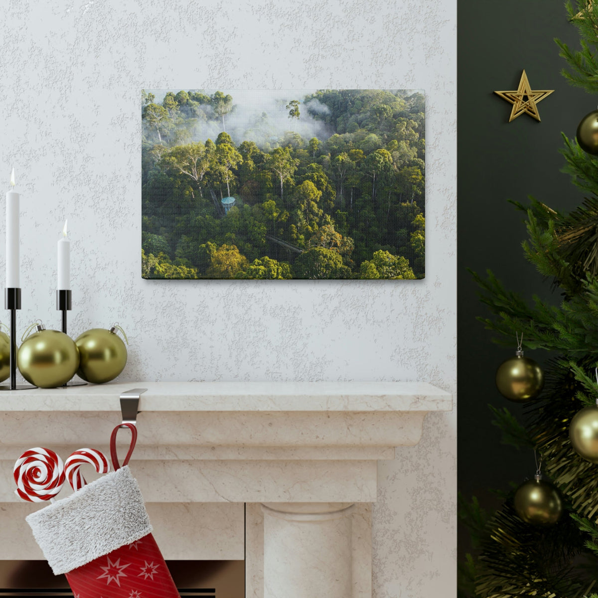 Gorgeous Misty Rainforest Scene Beautiful Enthralling and Captivating Beauty Nature Scene Aerial View of Rainforest Wall Art Ready to Hang Unframed-Express Your Love Gifts