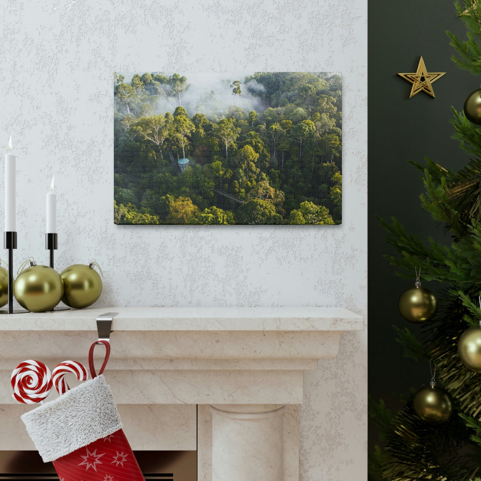 Gorgeous Misty Rainforest Scene Beautiful Enthralling and Captivating Beauty Nature Scene Aerial View of Rainforest Wall Art Ready to Hang Unframed-Express Your Love Gifts