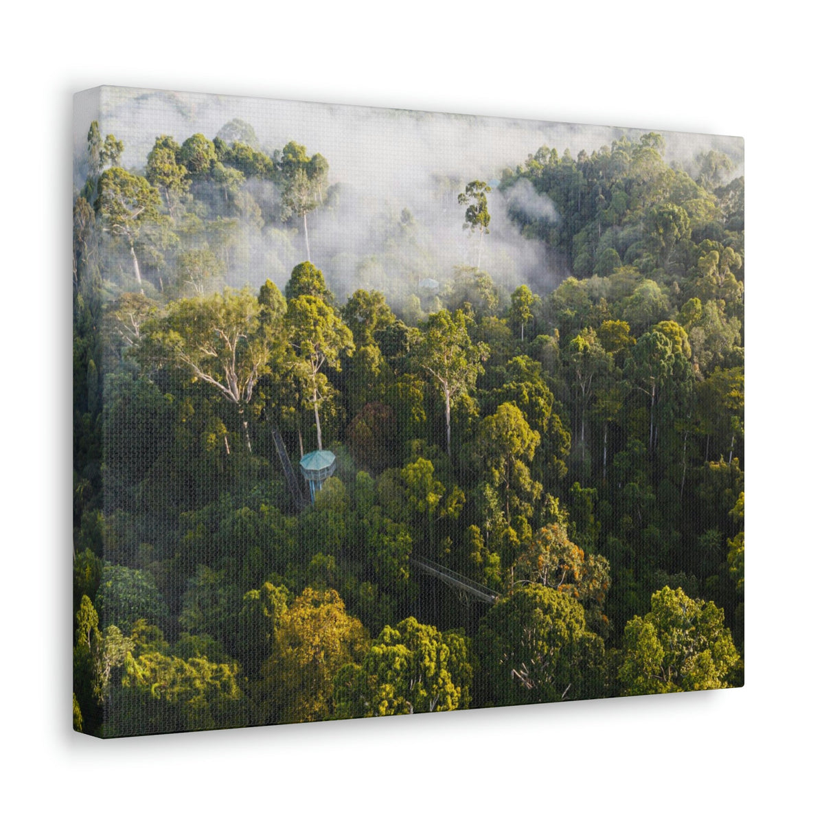 Gorgeous Misty Rainforest Scene Beautiful Enthralling and Captivating Beauty Nature Scene Aerial View of Rainforest Wall Art Ready to Hang Unframed-Express Your Love Gifts