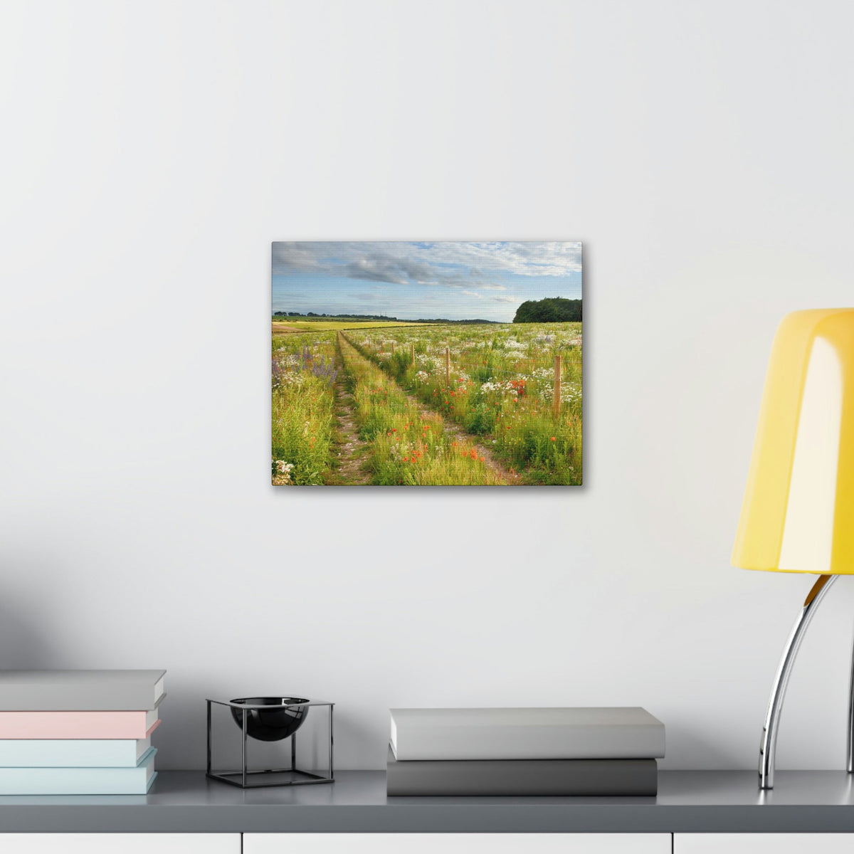 Gorgeous Wild Flower Meadow Scene Beautiful Pleasant and Lovely Beauty Nature Scene Different Colorful Flowers Wall Art Ready to Hang Unframed-Express Your Love Gifts