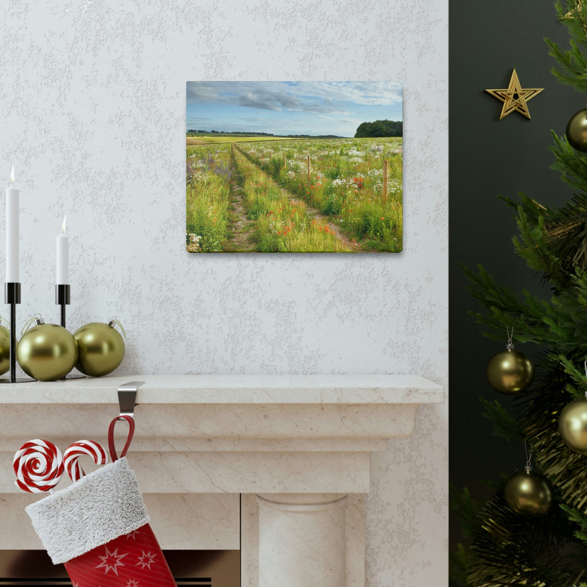 Gorgeous Wild Flower Meadow Scene Beautiful Pleasant and Lovely Beauty Nature Scene Different Colorful Flowers Wall Art Ready to Hang Unframed-Express Your Love Gifts