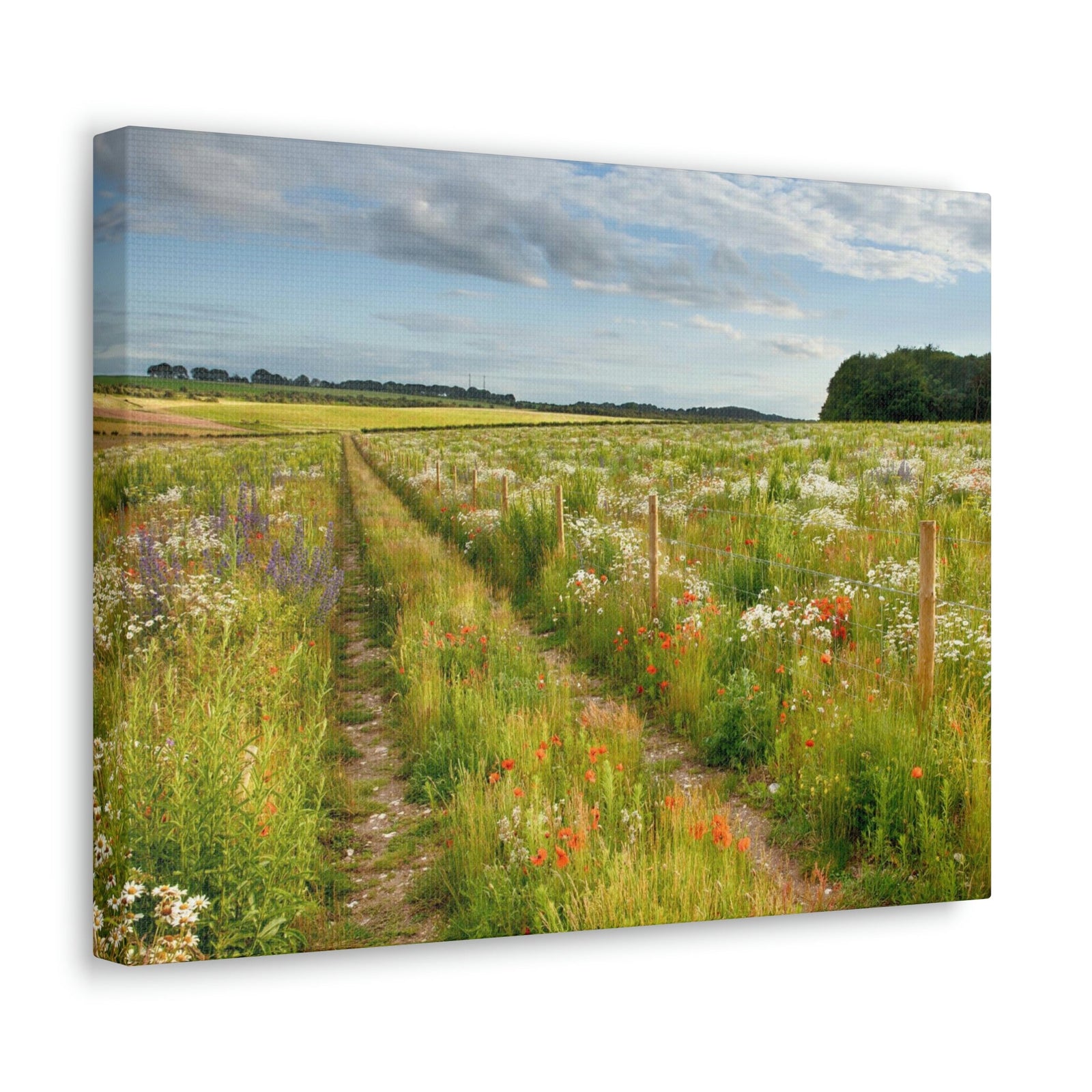 Gorgeous Wild Flower Meadow Scene Beautiful Pleasant and Lovely Beauty Nature Scene Different Colorful Flowers Wall Art Ready to Hang Unframed-Express Your Love Gifts