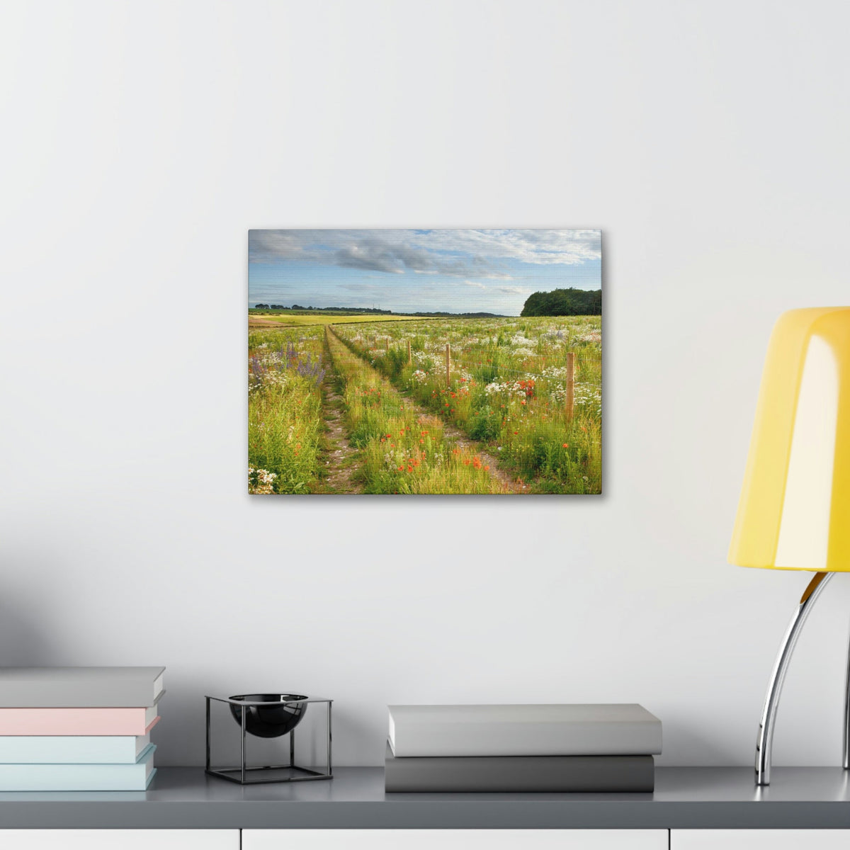 Gorgeous Wild Flower Meadow Scene Beautiful Pleasant and Lovely Beauty Nature Scene Different Colorful Flowers Wall Art Ready to Hang Unframed-Express Your Love Gifts