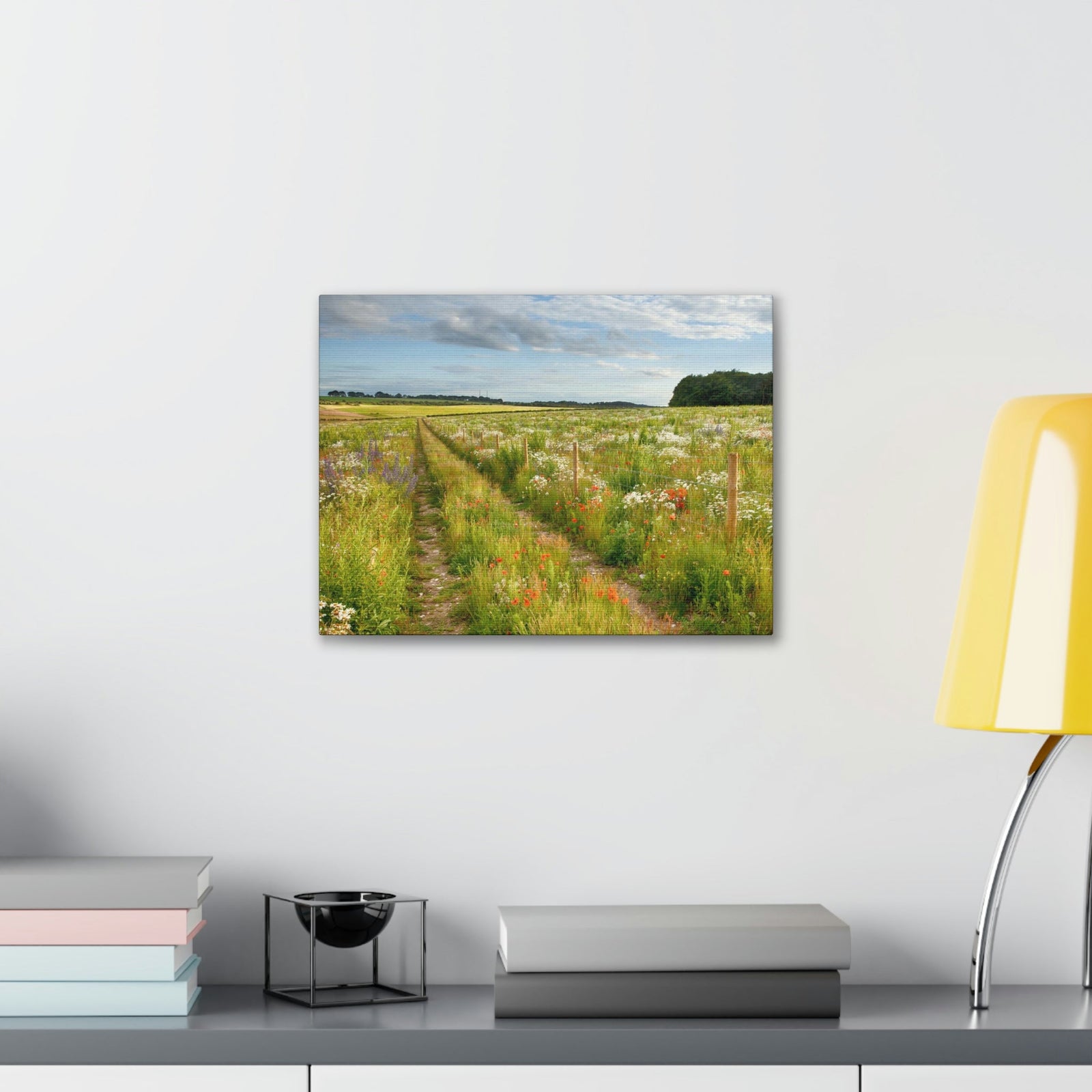 Gorgeous Wild Flower Meadow Scene Beautiful Pleasant and Lovely Beauty Nature Scene Different Colorful Flowers Wall Art Ready to Hang Unframed-Express Your Love Gifts
