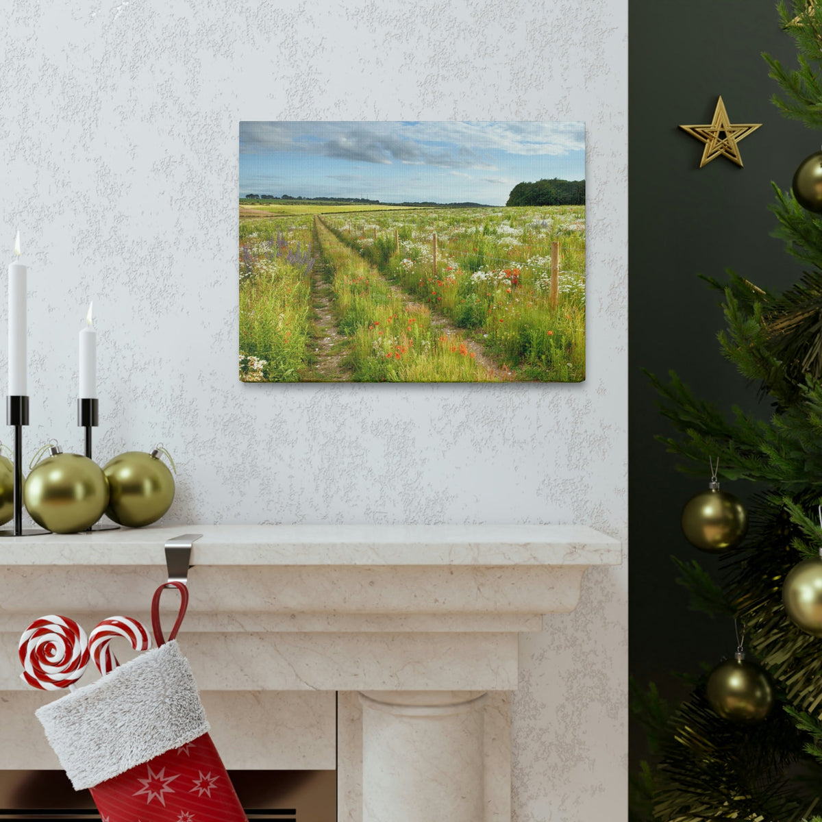 Gorgeous Wild Flower Meadow Scene Beautiful Pleasant and Lovely Beauty Nature Scene Different Colorful Flowers Wall Art Ready to Hang Unframed-Express Your Love Gifts