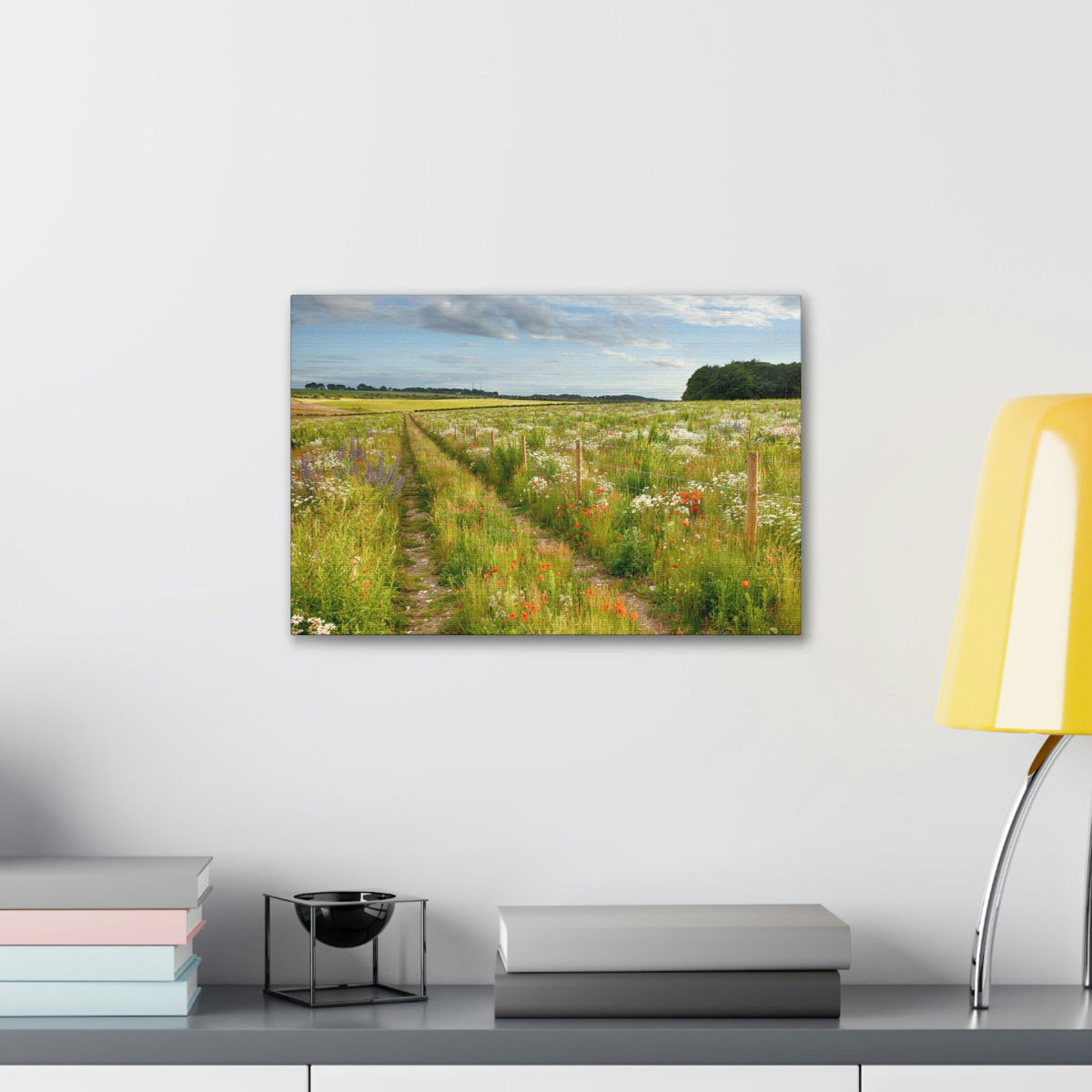 Gorgeous Wild Flower Meadow Scene Beautiful Pleasant and Lovely Beauty Nature Scene Different Colorful Flowers Wall Art Ready to Hang Unframed-Express Your Love Gifts