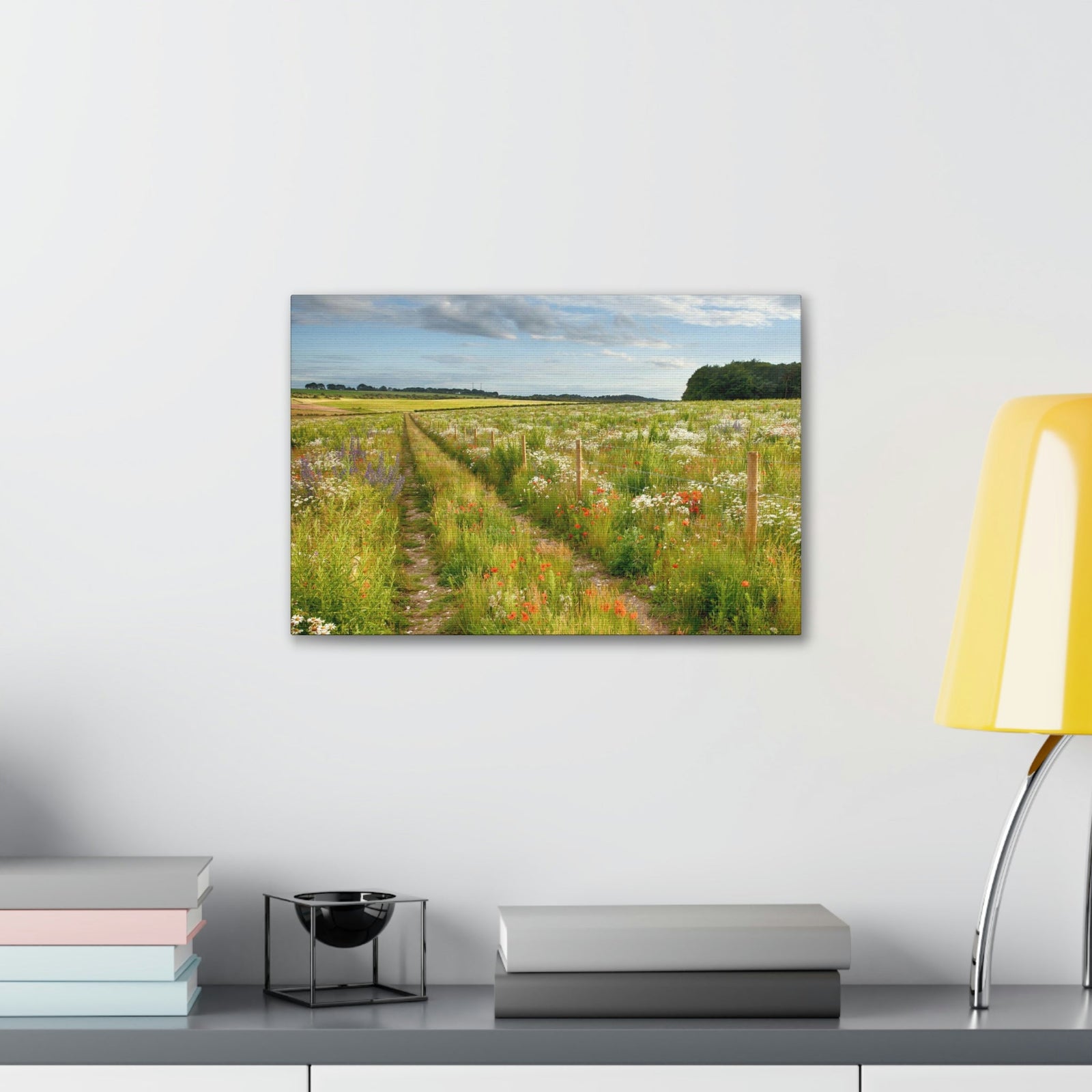 Gorgeous Wild Flower Meadow Scene Beautiful Pleasant and Lovely Beauty Nature Scene Different Colorful Flowers Wall Art Ready to Hang Unframed-Express Your Love Gifts
