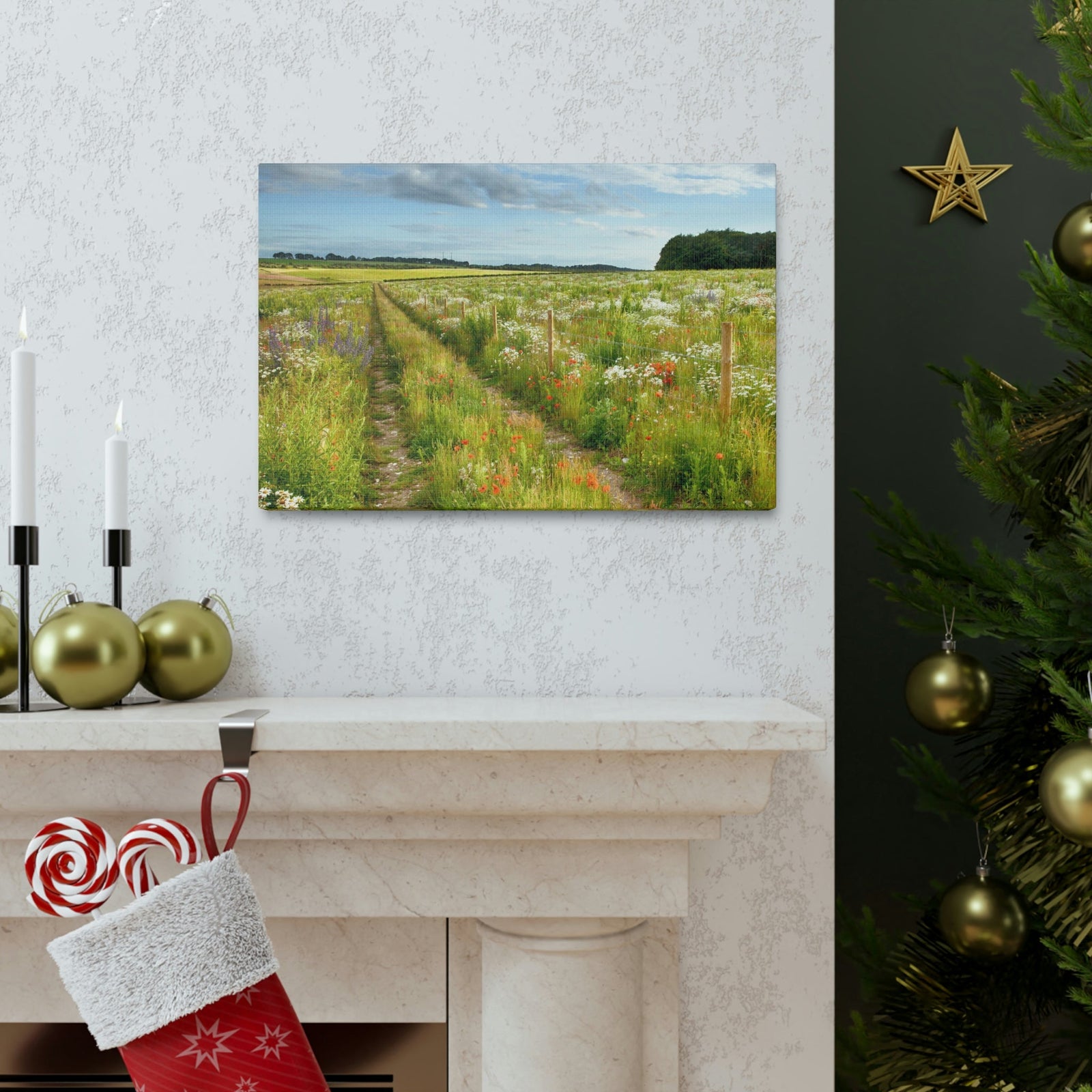 Gorgeous Wild Flower Meadow Scene Beautiful Pleasant and Lovely Beauty Nature Scene Different Colorful Flowers Wall Art Ready to Hang Unframed-Express Your Love Gifts