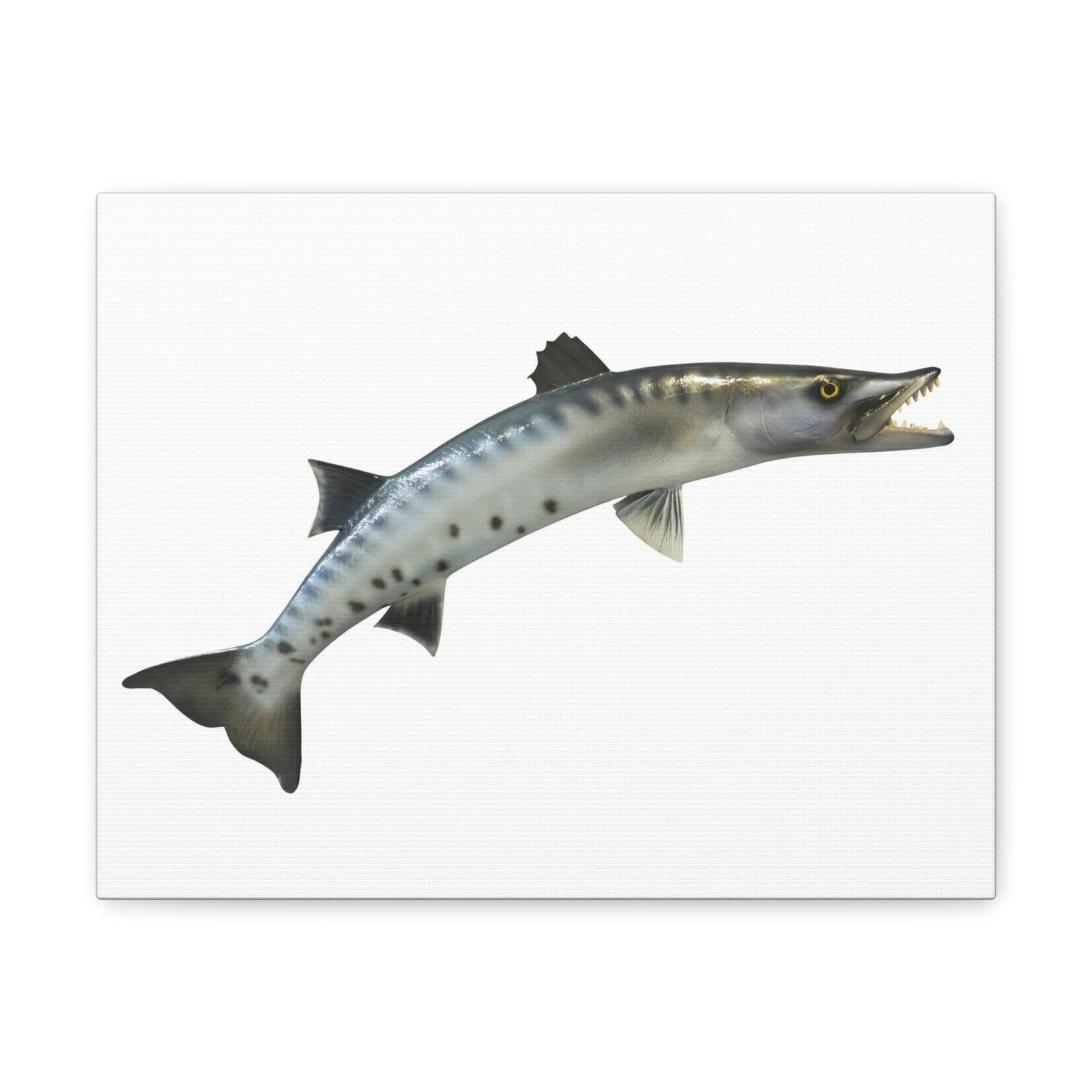 Great Baracuda Outside Wall Art Ready to Hang Unframed-Express Your Love Gifts