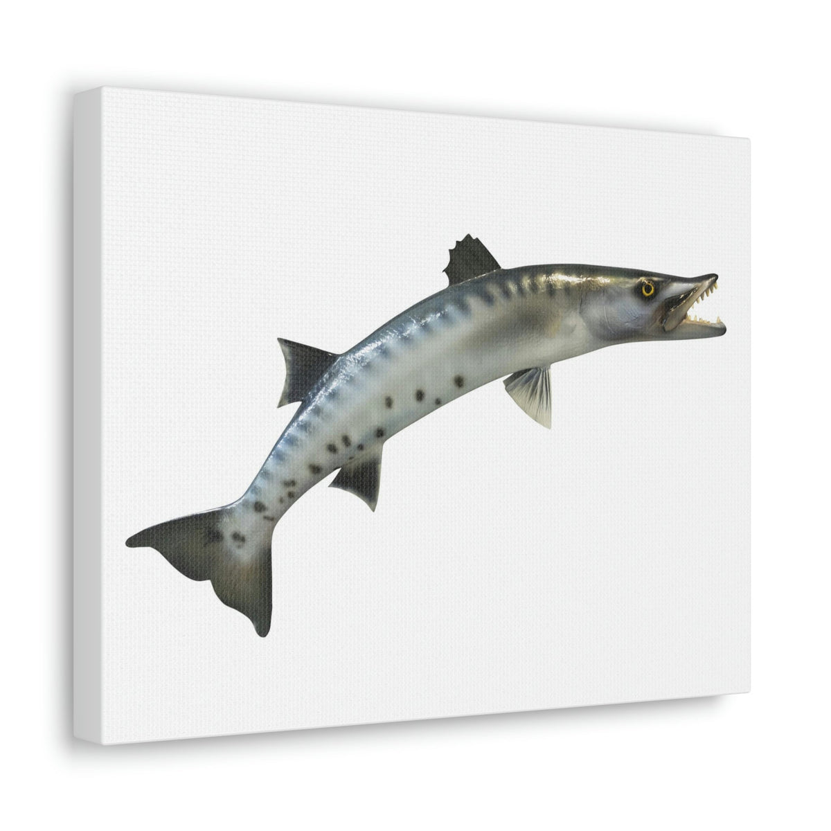 Great Baracuda Outside Wall Art Ready to Hang Unframed-Express Your Love Gifts