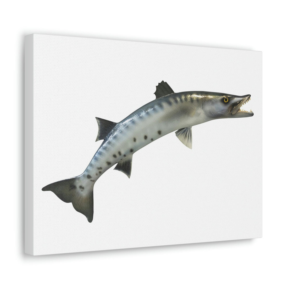 Great Baracuda Outside Wall Art Ready to Hang Unframed-Express Your Love Gifts