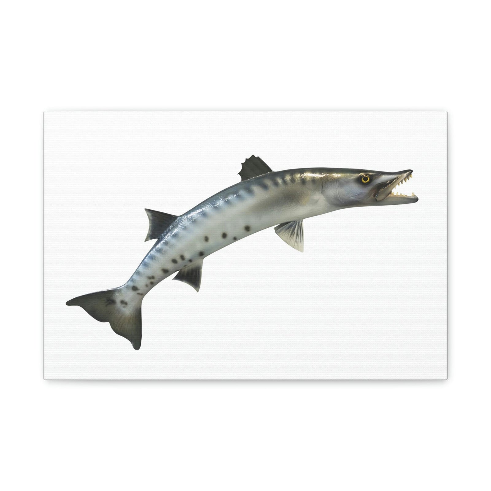 Great Baracuda Outside Wall Art Ready to Hang Unframed-Express Your Love Gifts