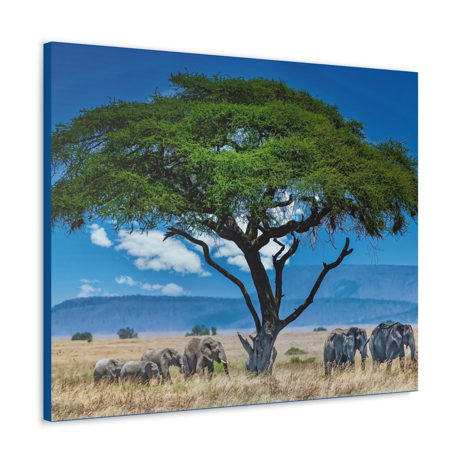 Group of African Elephant Under a Tree Outdoor Wall Art Ready To Hang Unframed-Express Your Love Gifts