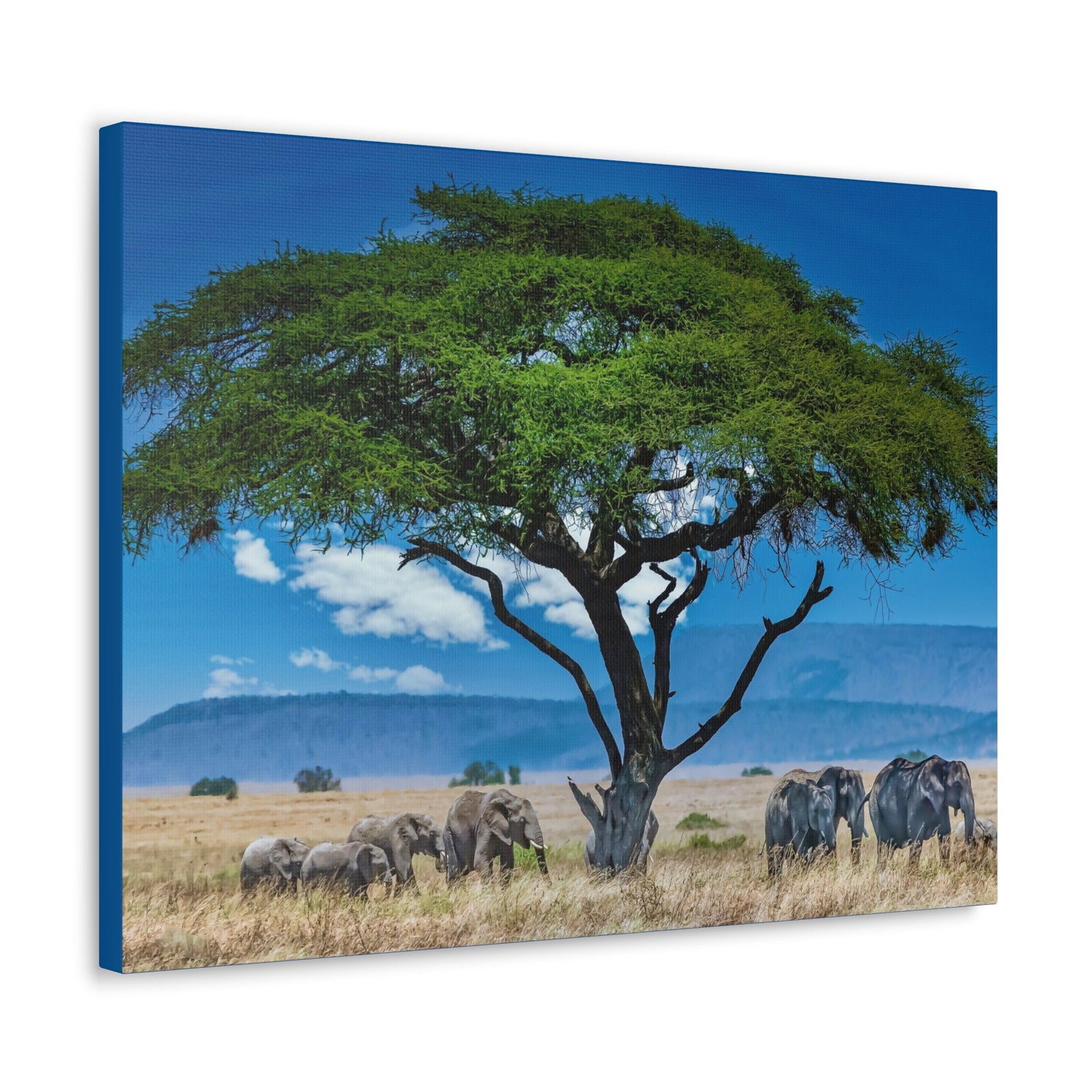 Group of African Elephant Under a Tree Outdoor Wall Art Ready To Hang Unframed-Express Your Love Gifts