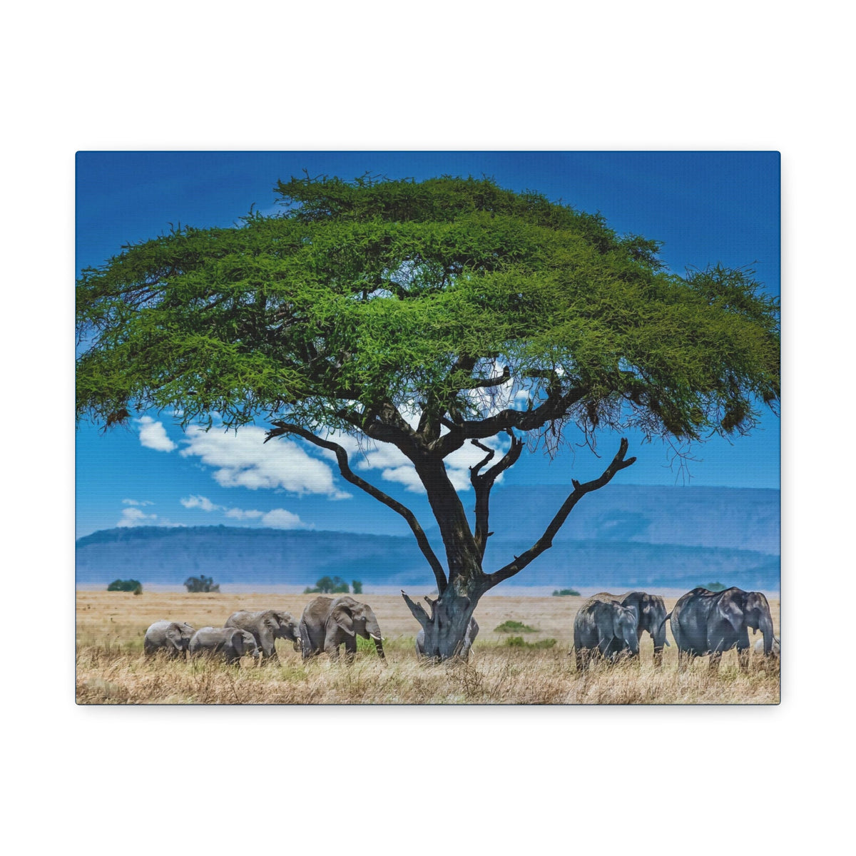 Group of African Elephant Under a Tree Outdoor Wall Art Ready To Hang Unframed-Express Your Love Gifts