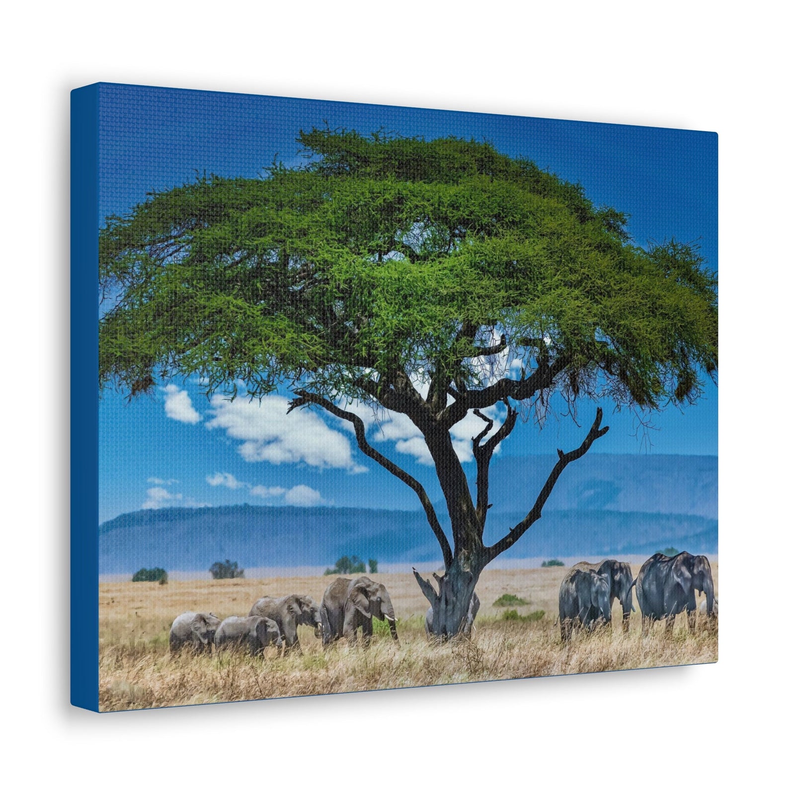 Group of African Elephant Under a Tree Outdoor Wall Art Ready To Hang Unframed-Express Your Love Gifts