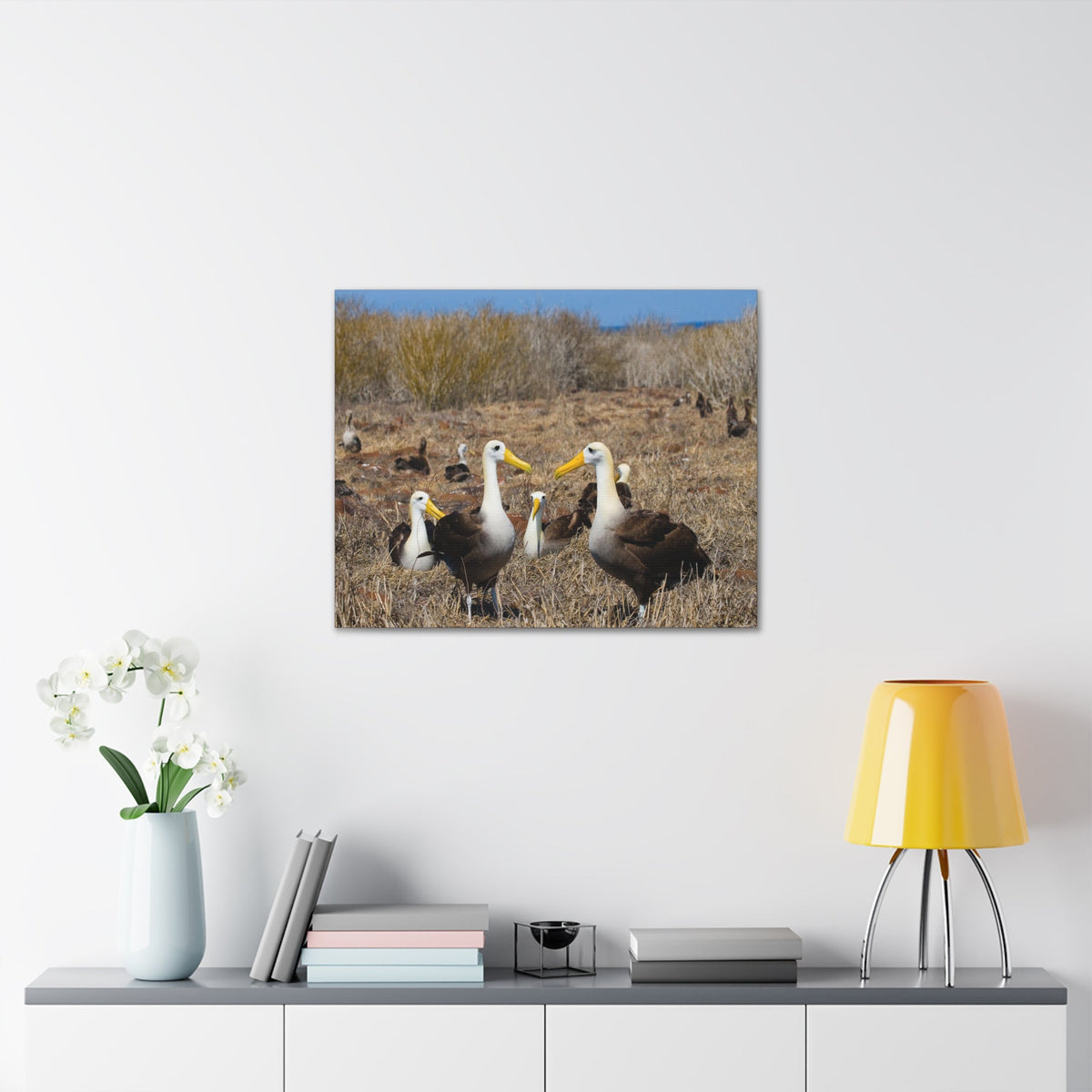 Group of Albatross Unframed-Express Your Love Gifts