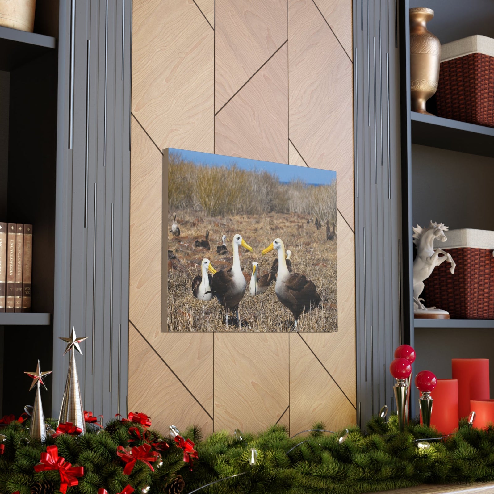 Group of Albatross Unframed-Express Your Love Gifts