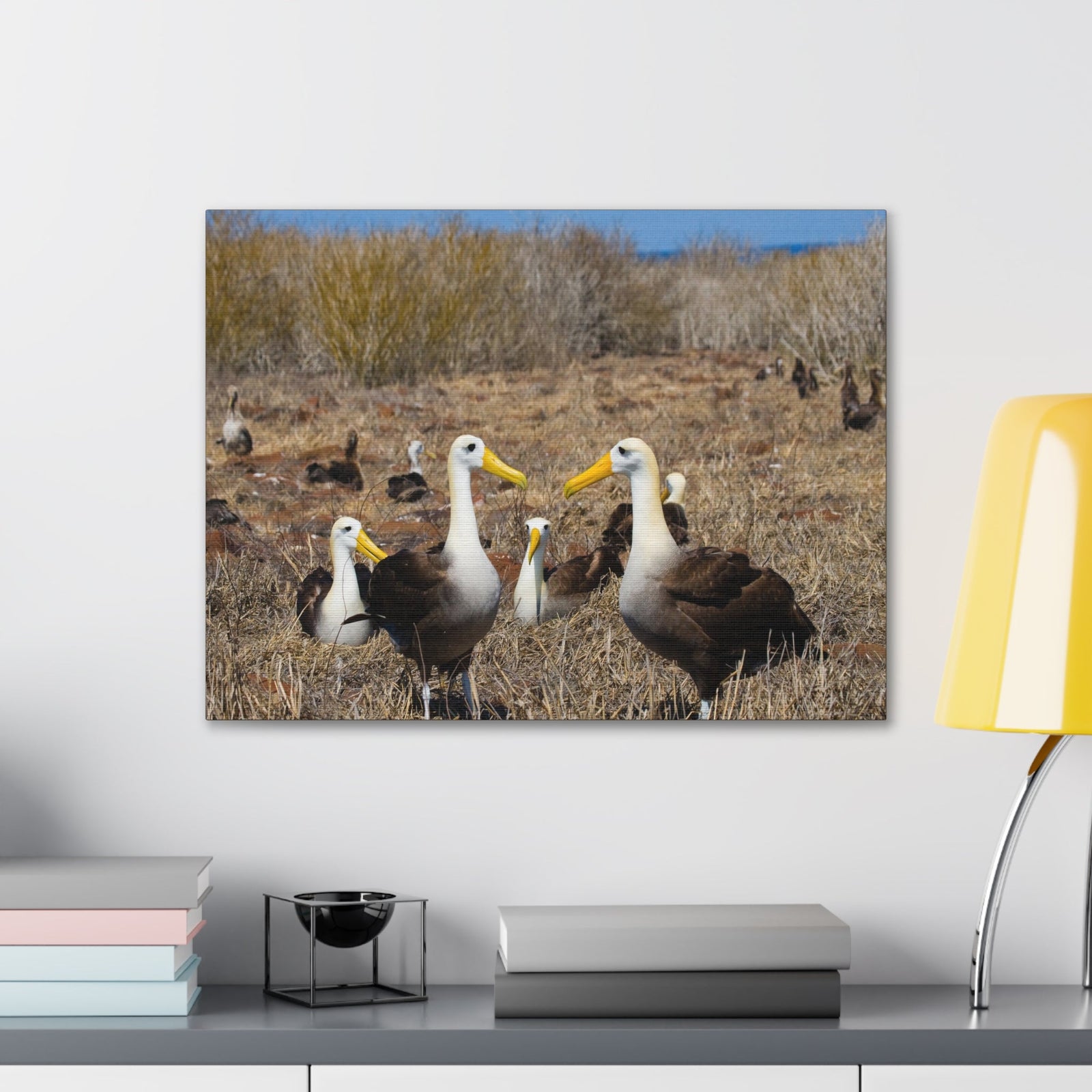 Group of Albatross Unframed-Express Your Love Gifts