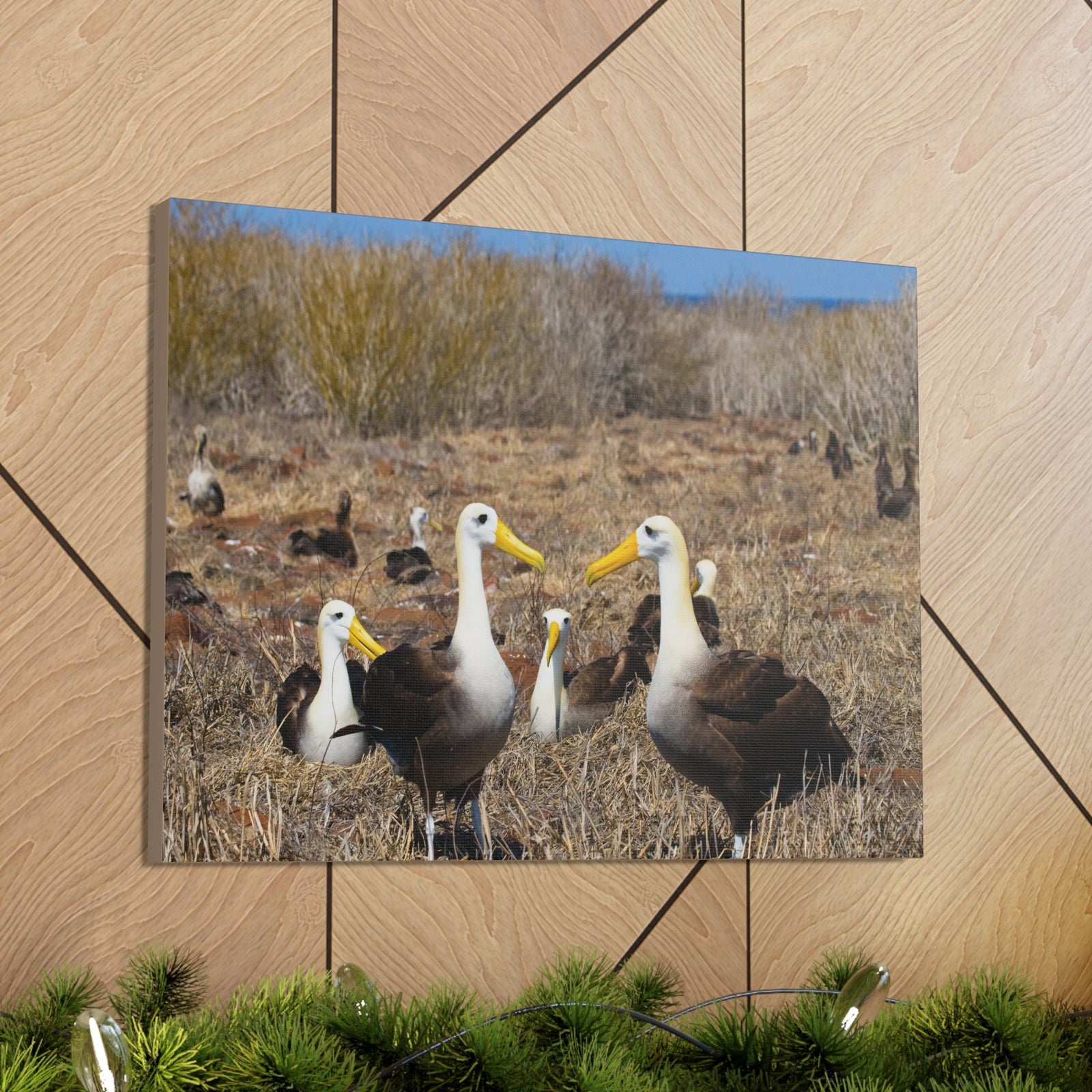 Group of Albatross Unframed-Express Your Love Gifts