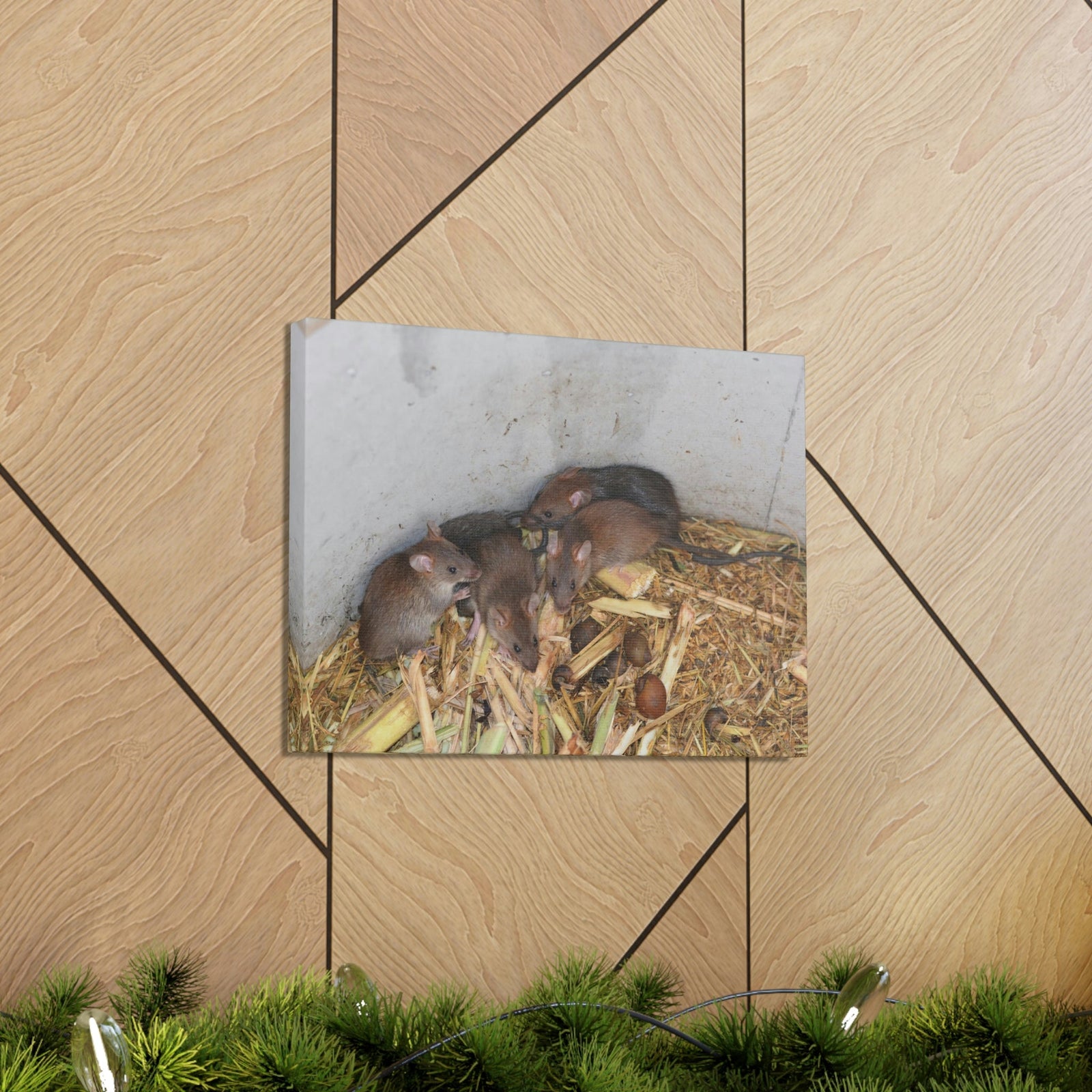 Scripture Walls Group of Bandicoots Snuggled Together Print Animal Wall Art Wildlife Canvas Prints Wall Art Ready to Hang Unframed-Express Your Love Gifts