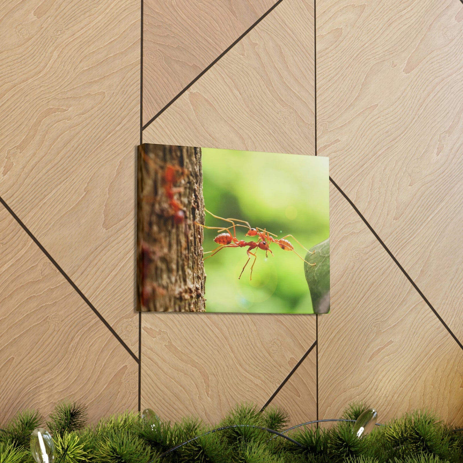 Happy Ant Couple Together Again Ant Outside Wall Art Ready To Hang Unframed-Express Your Love Gifts