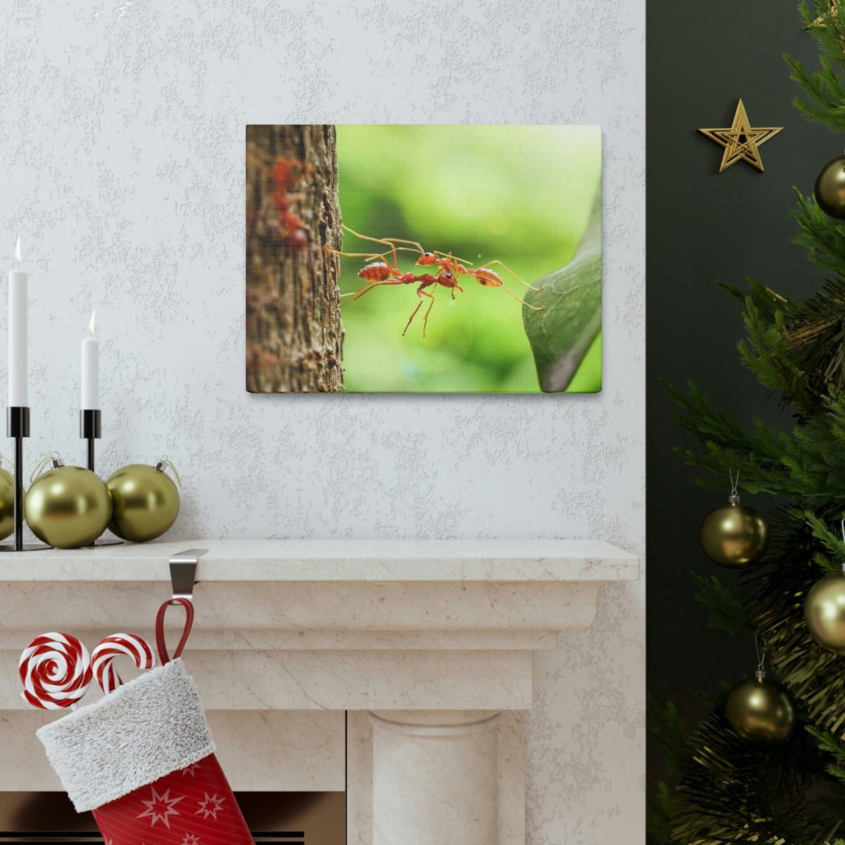 Happy Ant Couple Together Again Ant Outside Wall Art Ready To Hang Unframed-Express Your Love Gifts