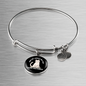 I Have Pictures Cat Bracelet Stainless Steel or 18k Gold Circle Bangle-Express Your Love Gifts
