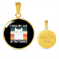 I Hug My Cat Circle Necklace Stainless Steel or 18k Gold 18-22"-Express Your Love Gifts