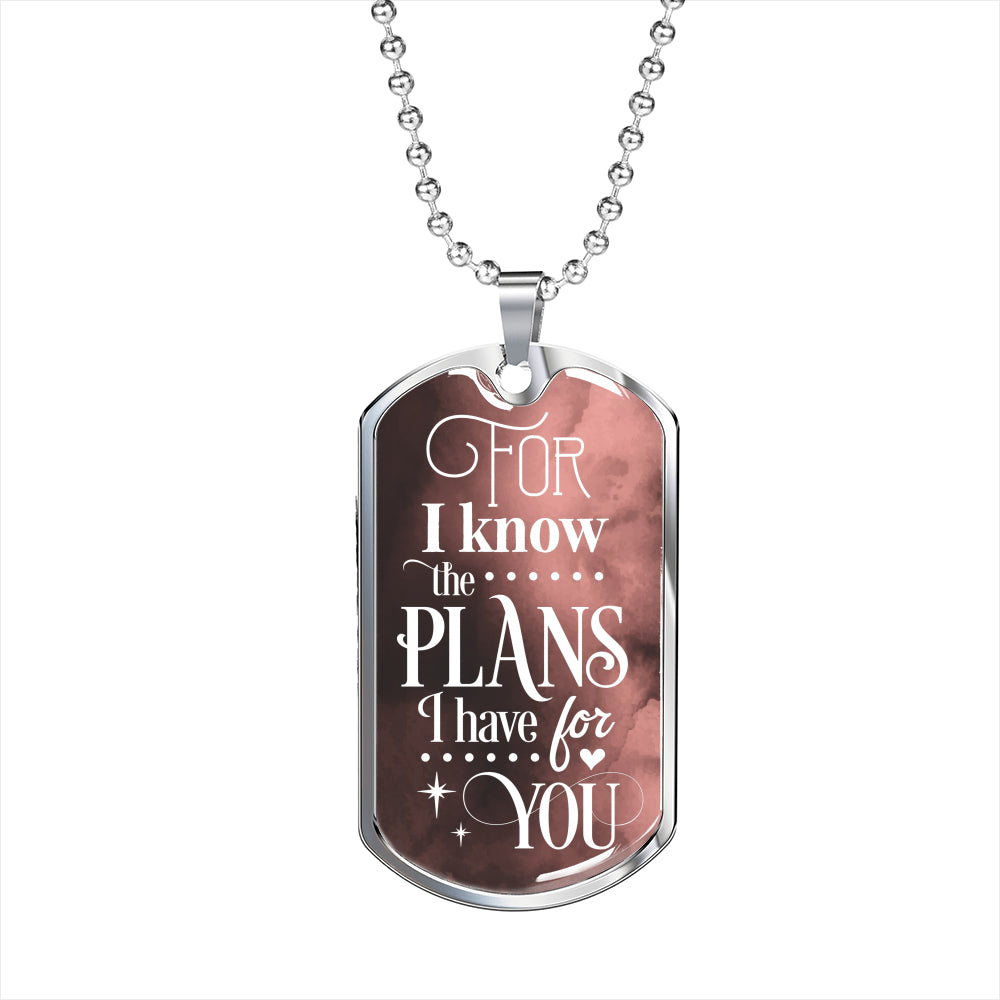God Knows Your Plans Jeremiah 29:11 Necklace Stainless Steel or 18k Gold Dog Tag 24" Chain-Express Your Love Gifts
