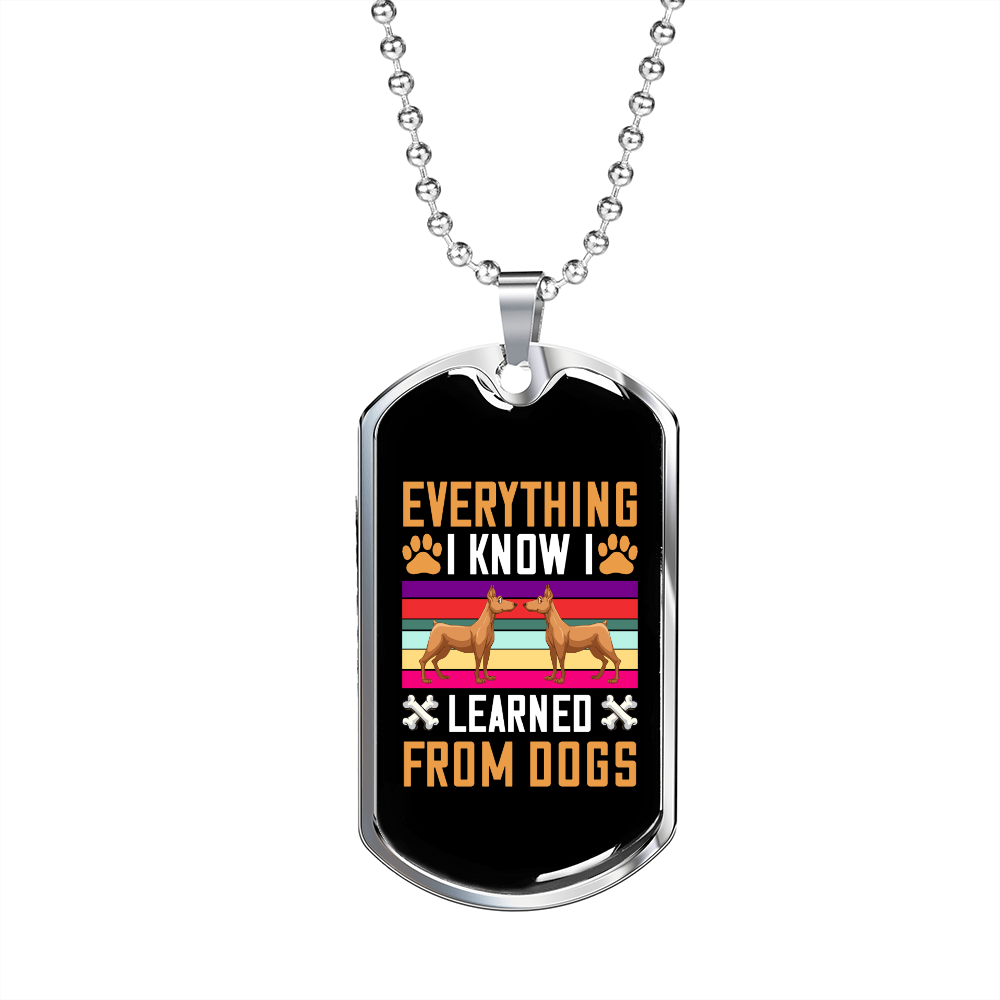 I Learned From Dogs Colors Necklace Stainless Steel or 18k Gold Dog Tag 24" Chain-Express Your Love Gifts