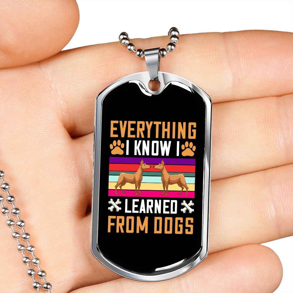 I Learned From Dogs Colors Necklace Stainless Steel or 18k Gold Dog Tag 24" Chain-Express Your Love Gifts
