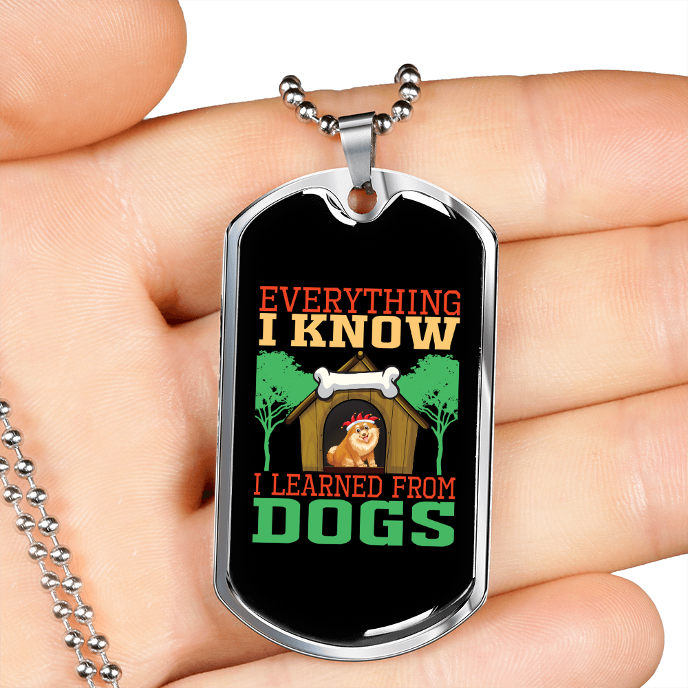 I Learned From Dogs Green Necklace Stainless Steel or 18k Gold Dog Tag 24" Chain-Express Your Love Gifts