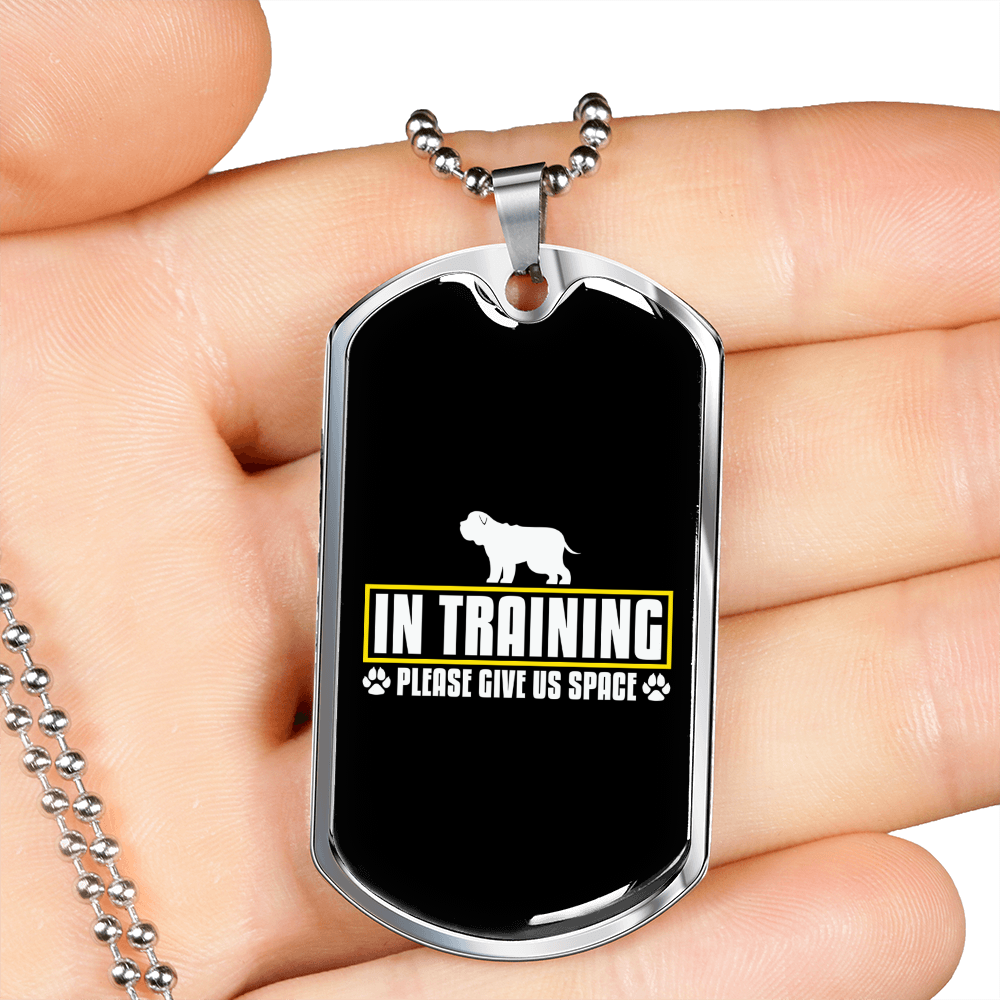 In Training Necklace Stainless Steel or 18k Gold Dog Tag 24" Chain-Express Your Love Gifts
