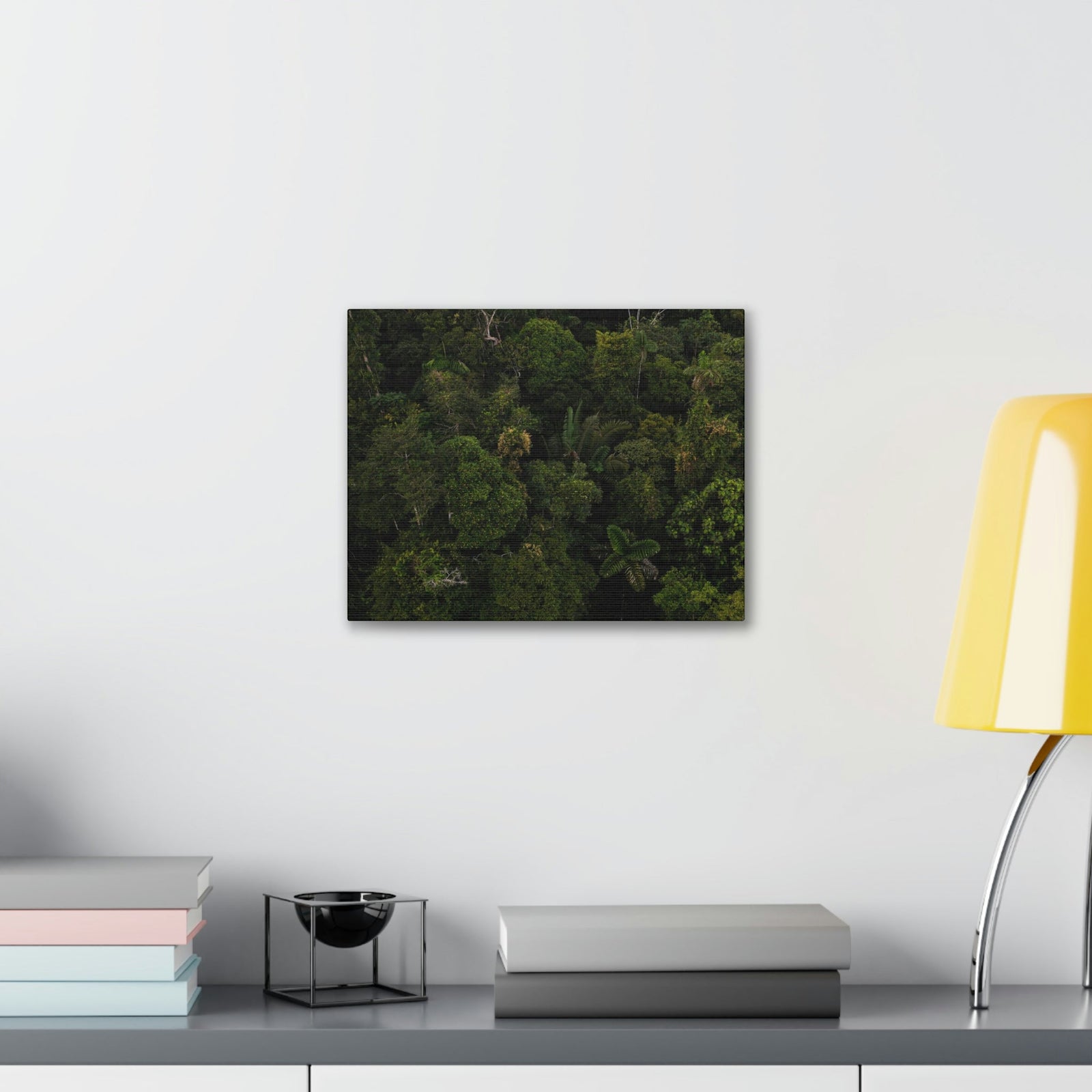 Incredible Aerial View of a Rainforest Scene Beautiful Wondrous and Astounding Beauty Nature Scene Different Big Trees Wall Art Ready to Hang Unframed-Express Your Love Gifts