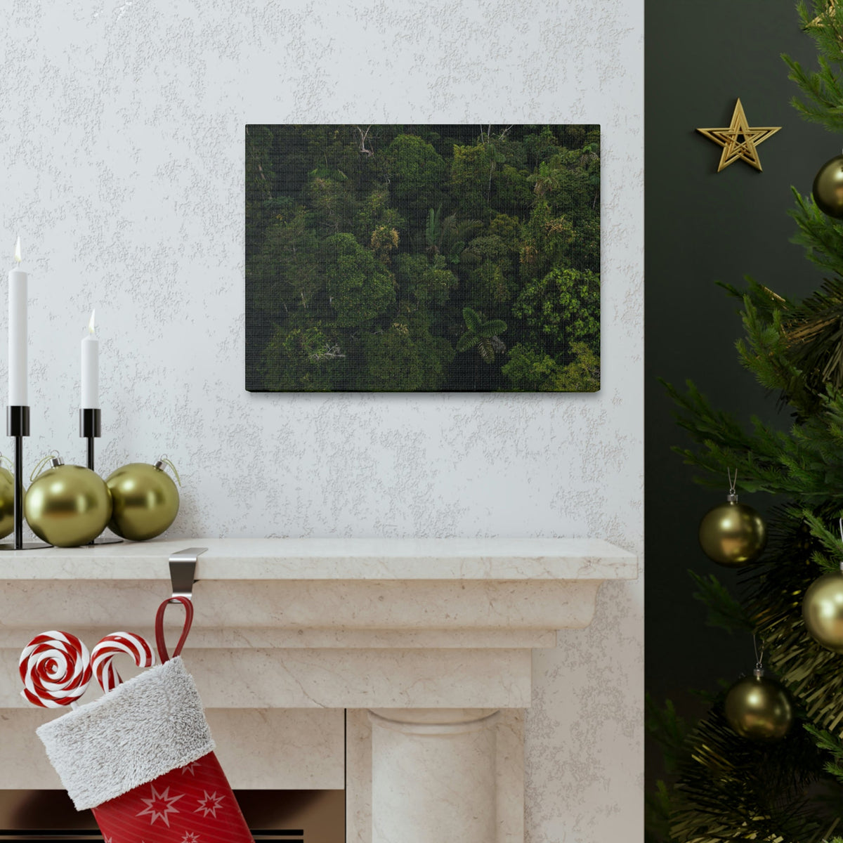 Incredible Aerial View of a Rainforest Scene Beautiful Wondrous and Astounding Beauty Nature Scene Different Big Trees Wall Art Ready to Hang Unframed-Express Your Love Gifts