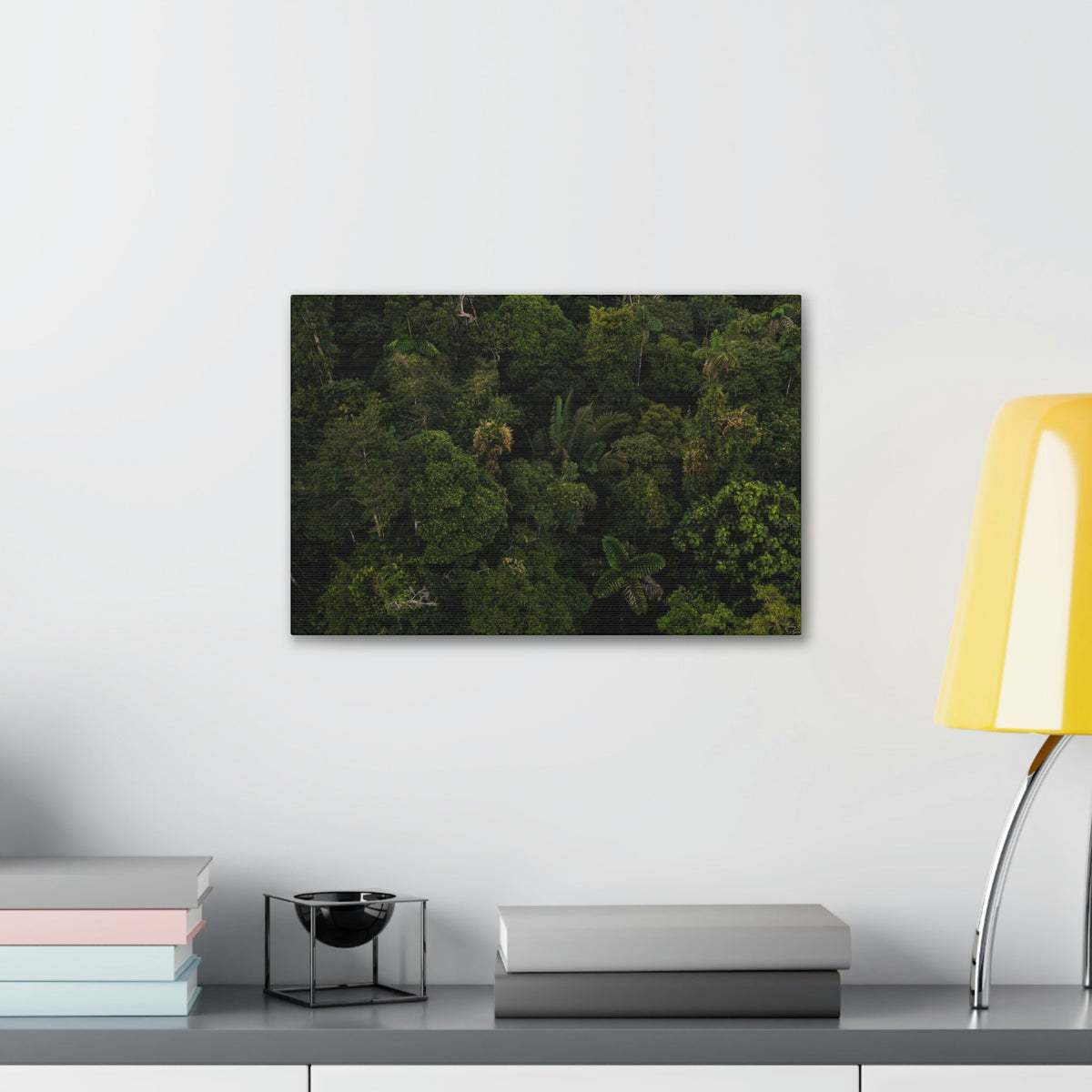 Incredible Aerial View of a Rainforest Scene Beautiful Wondrous and Astounding Beauty Nature Scene Different Big Trees Wall Art Ready to Hang Unframed-Express Your Love Gifts