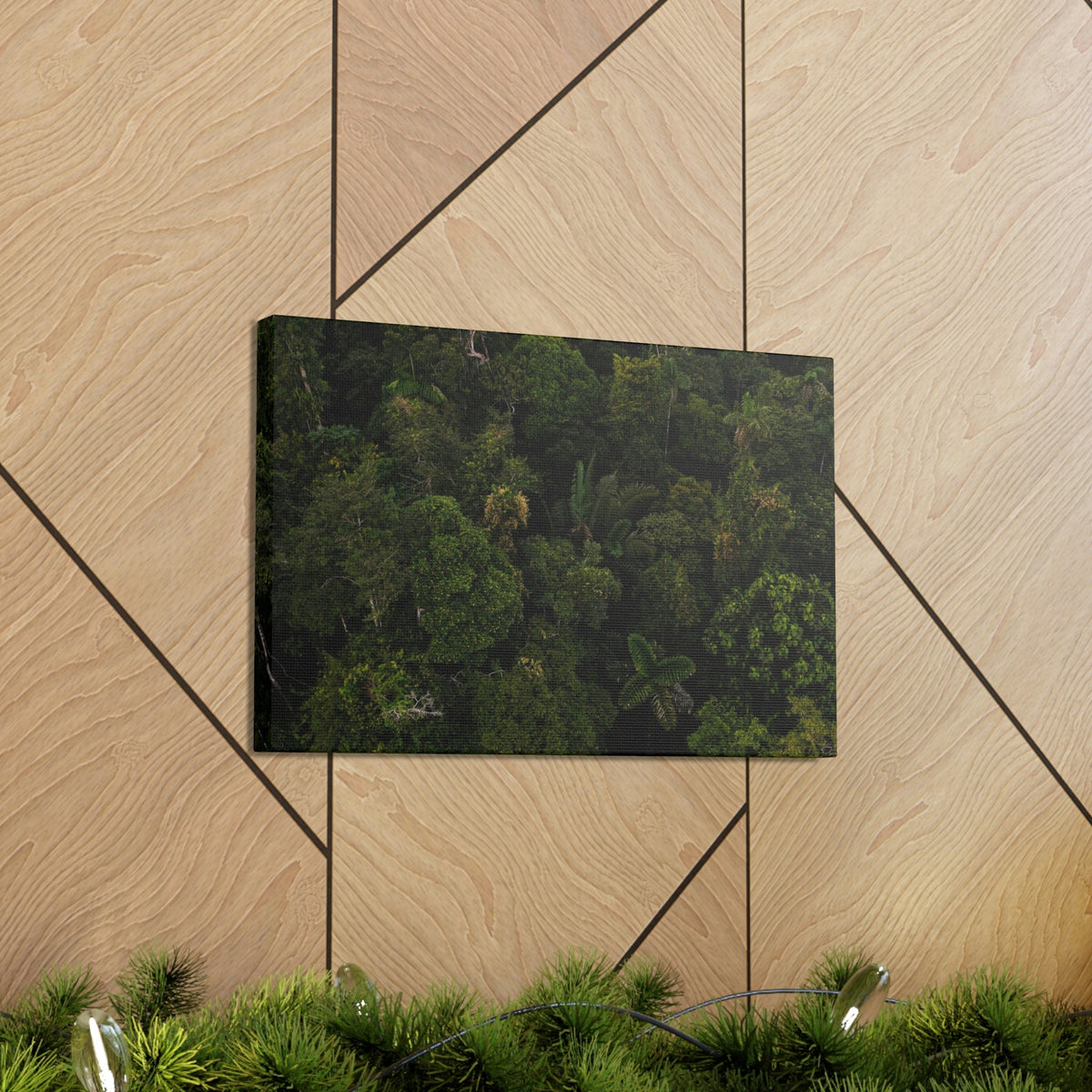 Incredible Aerial View of a Rainforest Scene Beautiful Wondrous and Astounding Beauty Nature Scene Different Big Trees Wall Art Ready to Hang Unframed-Express Your Love Gifts