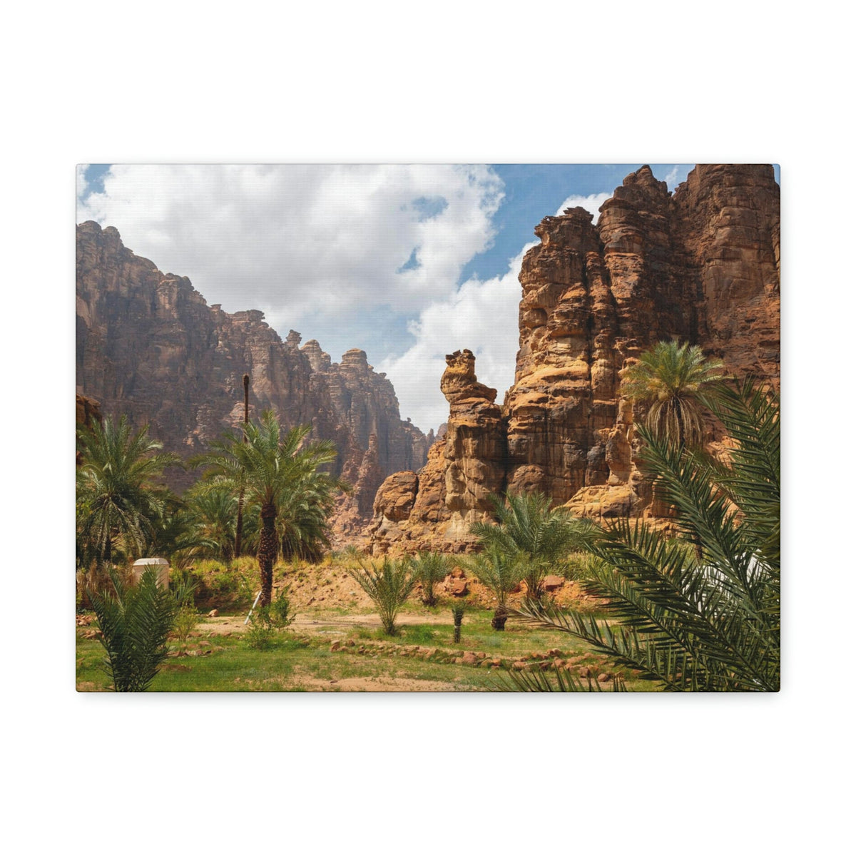 Incredible Valley View Scene Beautiful Breathtaking and Astonishing Beauty Nature Scene Big Rocks and Trees Wall Art Ready to Hang Unframed-Express Your Love Gifts