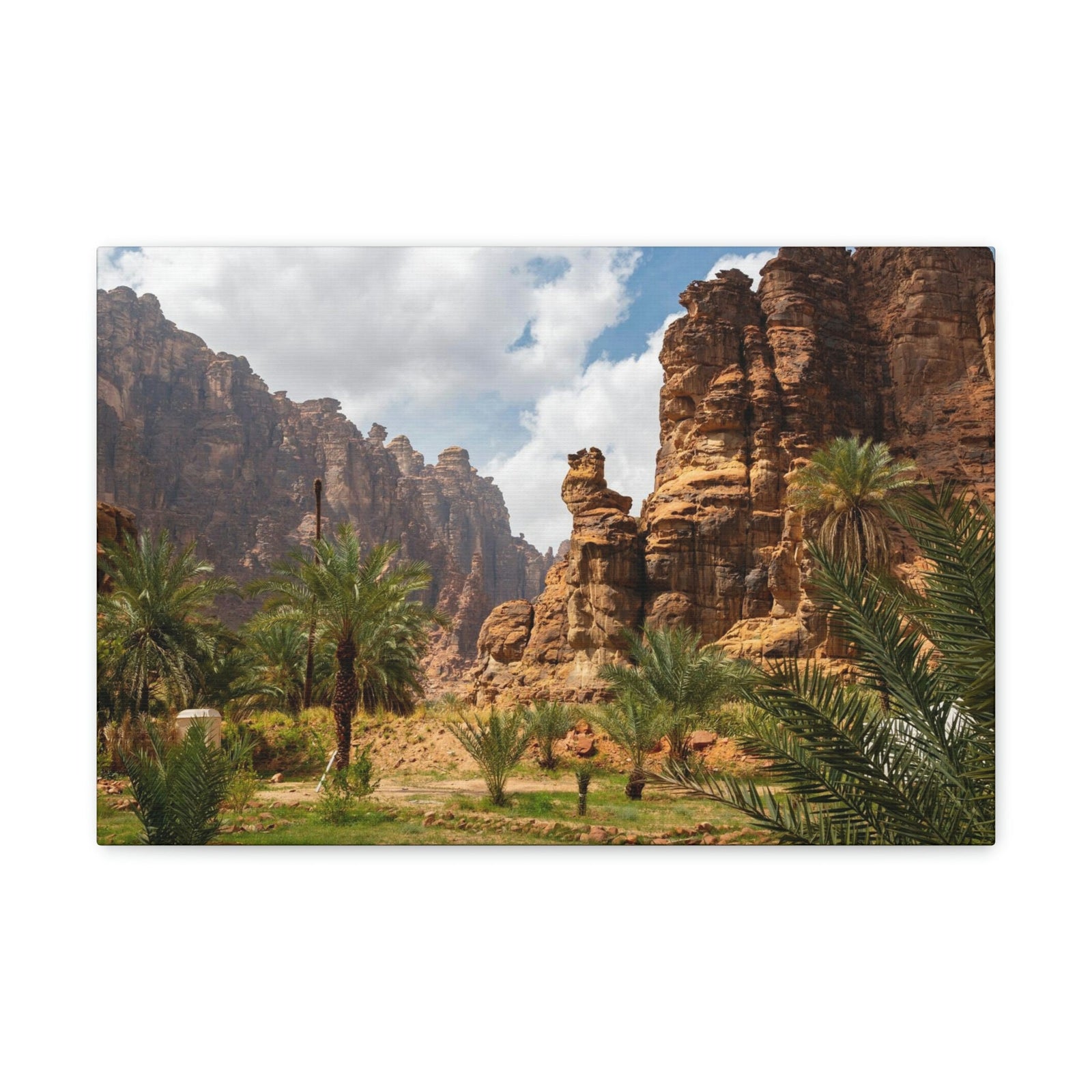 Incredible Valley View Scene Beautiful Breathtaking and Astonishing Beauty Nature Scene Big Rocks and Trees Wall Art Ready to Hang Unframed-Express Your Love Gifts