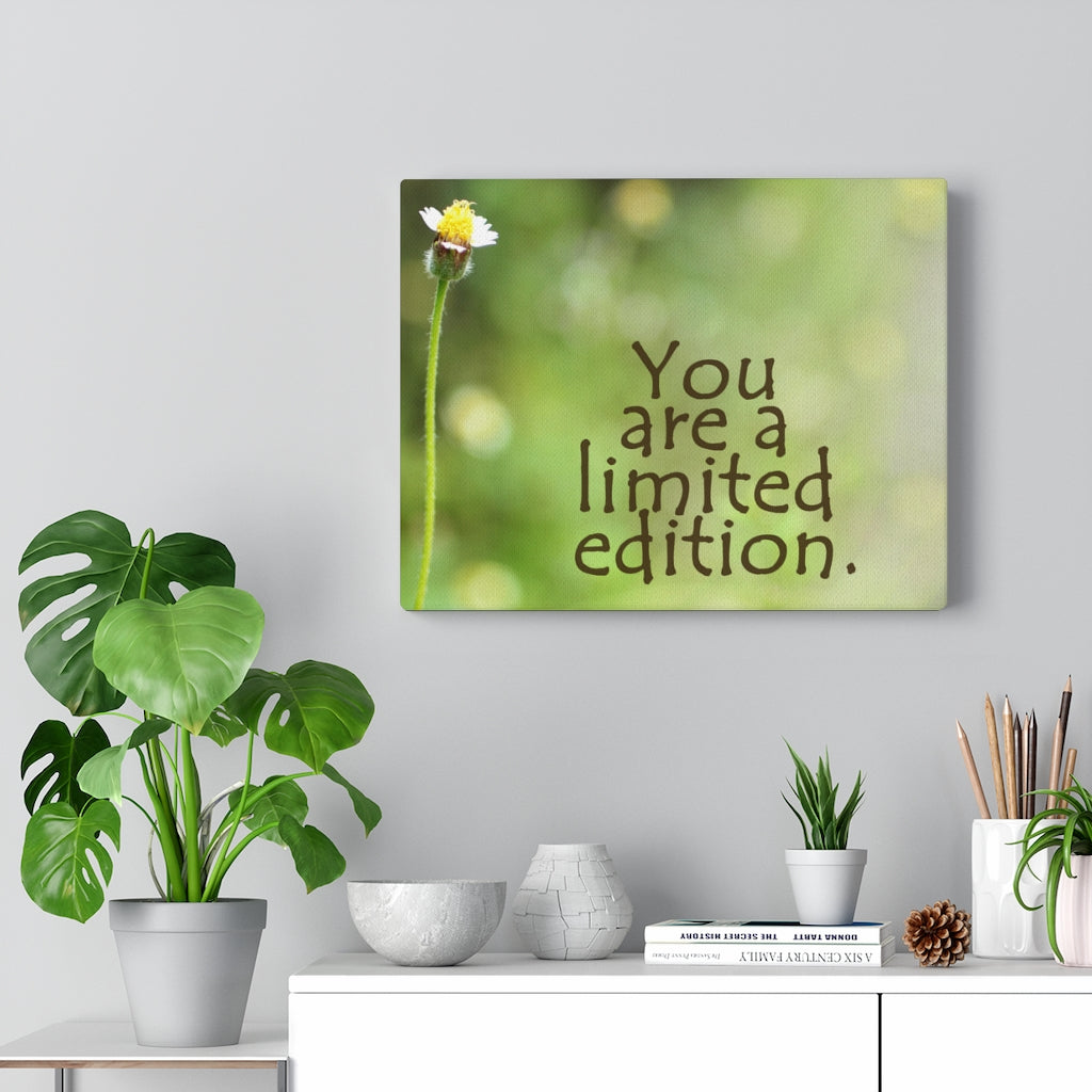 Scripture Walls Inspirational Wall Art You Are A Limited Edition Motivational Print Ready to Hang Artwork Unframed-Express Your Love Gifts