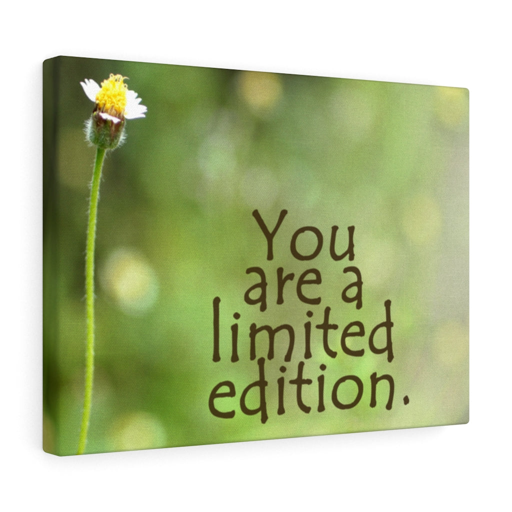 Scripture Walls Inspirational Wall Art You Are A Limited Edition Motivational Print Ready to Hang Artwork Unframed-Express Your Love Gifts